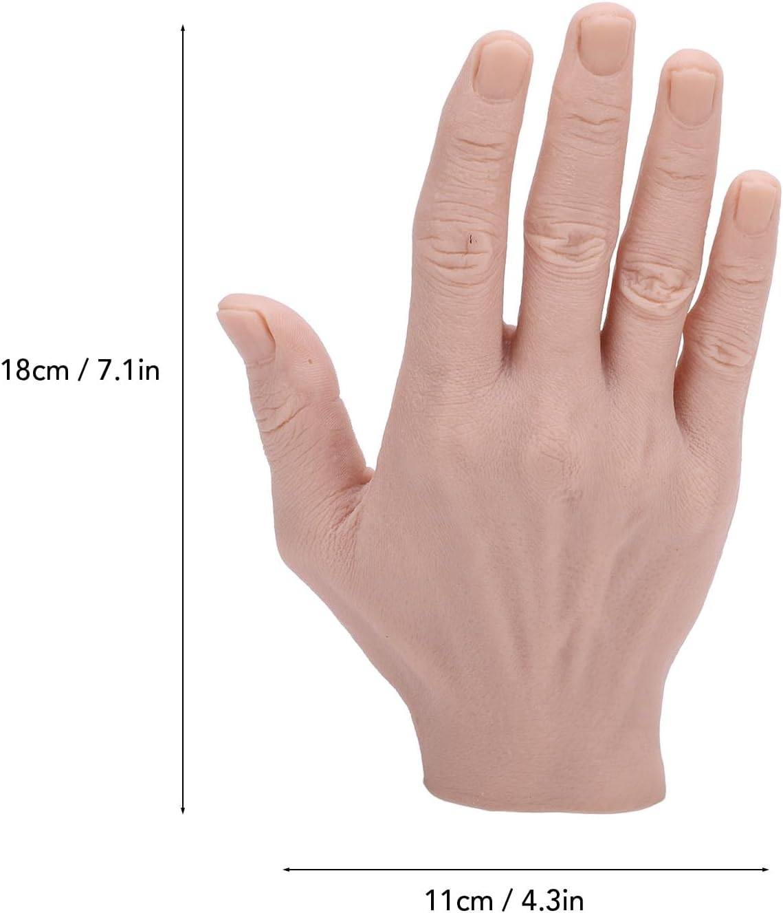Silicone Male Hand Model, Fake Hand Flexible, Realistic Mannequin Hand for Jewelry Display, Photograph Props, Halloween, Performance, Practice, Painting, Teaching (Right Hand)