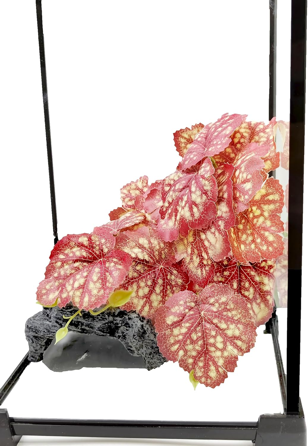 Woyrise Reptile Plants, Terrarium Hanging Plants Vines for Reptile Tank, Amphibian Habitat Leaves Decor with Suction Cup for Bearded Dragon Lizard Snake Gecko Frog Hermit Crab - 2Pcs Pink Heuchera - Calathea Orbifolia image number 5