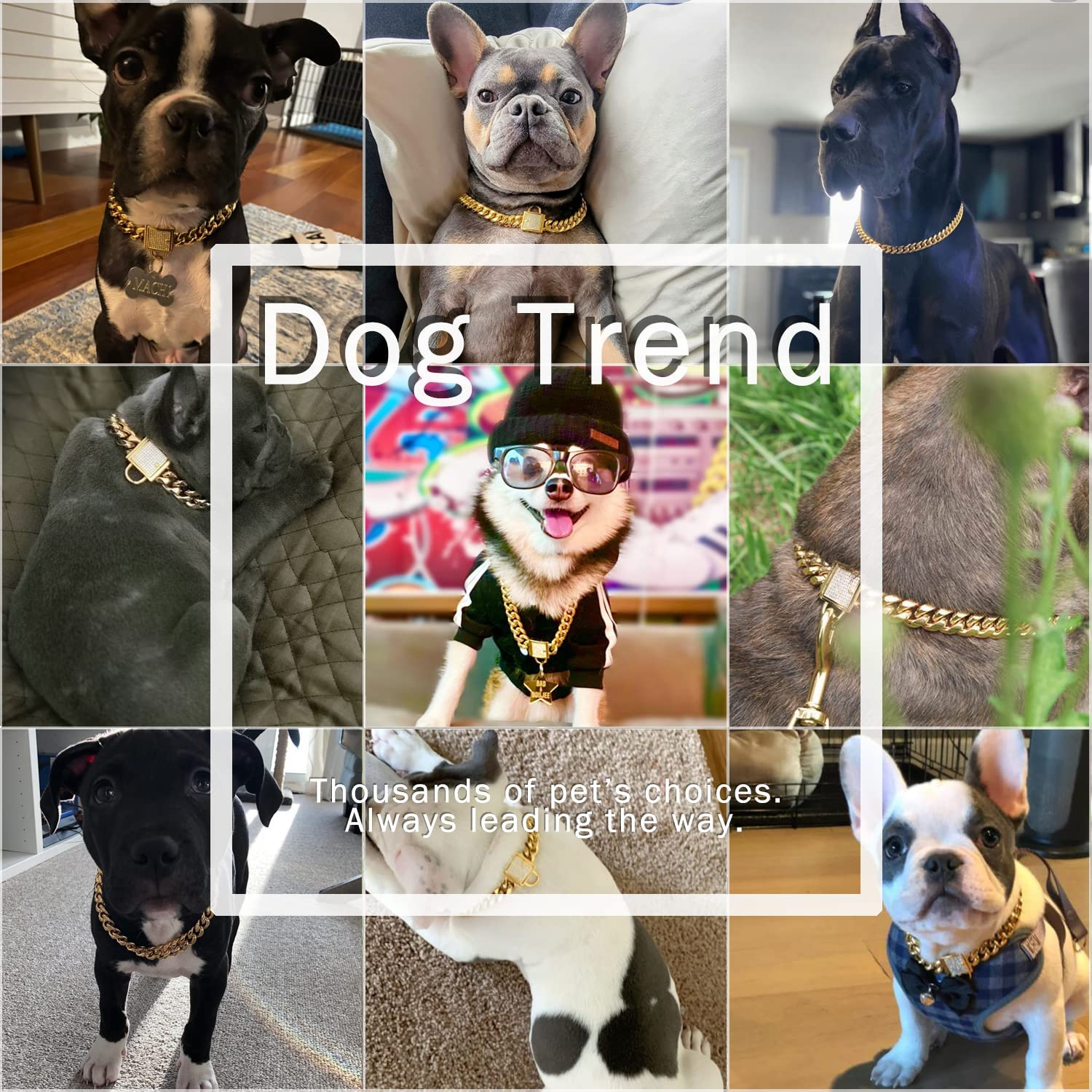 Abaxaca 18K Gold Dog Collar XS Small Metal Stainless Steel 14Mm Luxury Training Collar Cuban Link with Zirconia Lock Necklace Chain Locking Chew Proof Collar(10 Inch) image number 1