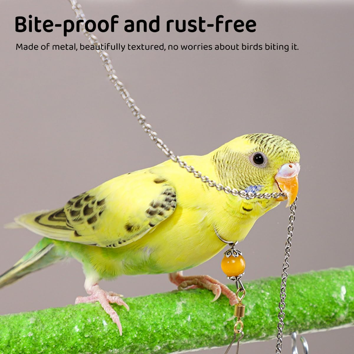 Stainless Steel Bird Neck Ring and Chain, Training Equipment for Starlings, Tiger Skin Birds, Peonies, and Parrots, with Live Buckle