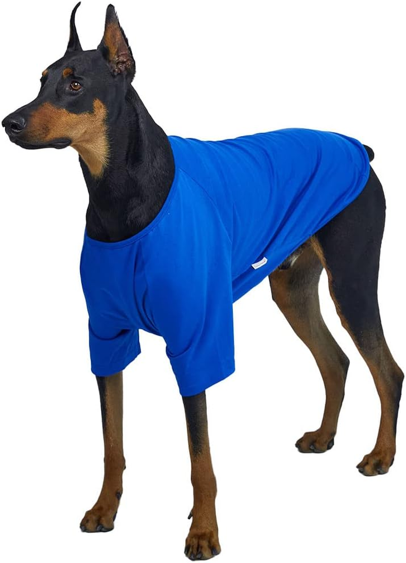 Lucky Petter Dog Shirt for Small Dogs Plain T-Shirts Soft Breathable Dog Cotton Shirt Pet Clothes (2X-Large, Navy)