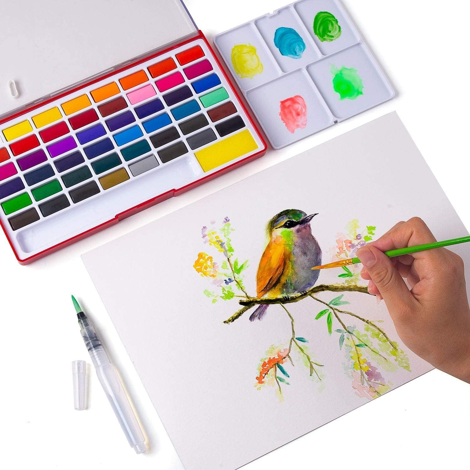 Watercolor Paint Set, 48 Assorted Premium Colors in Box with Water Brush and Sponge, Perfect for Artist Kids Beginners, Artists, Painting, Sketching, and Illustrating image number 5