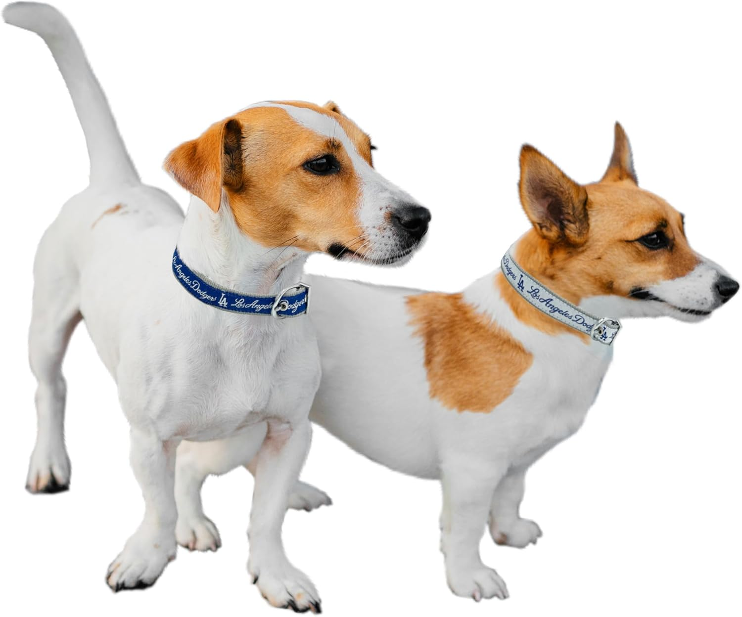 Pets First Los Angeles Dodgers Reversible MLB Dog Collar. Premium Home & Away 2-Sided Pet Collar Adjustable with Metal Buckle. Your Favorite Baseball Team a Unique Design on Each Side, LAD-3280-MD, M image number 4