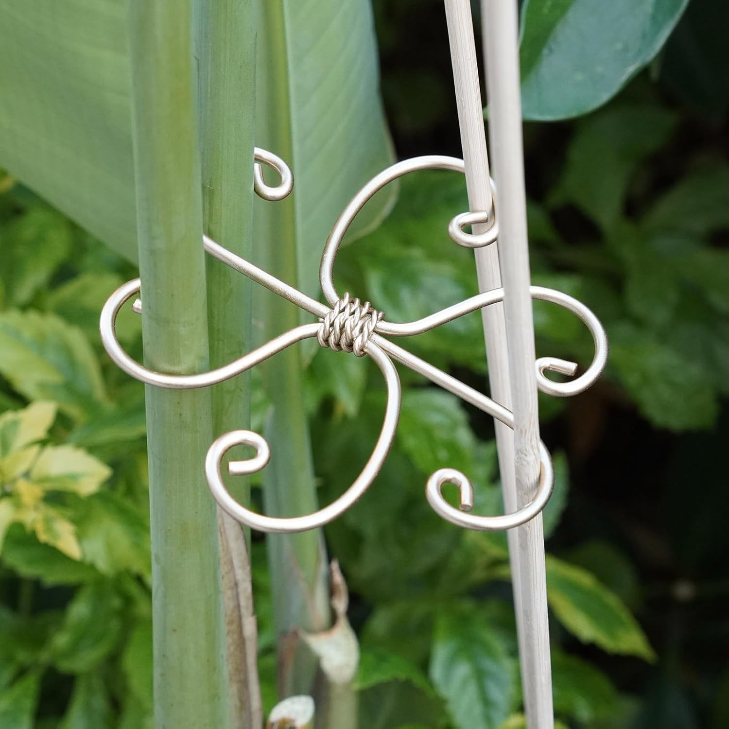 2-Pack Monstera Plant Support System - Durable Hook Stem Supports for Healthy Growth, Stabilizer for Leaves and Turtle Shells, Easy-To-Use Indoor Plant Care, Ideal Present for Plant Lovers