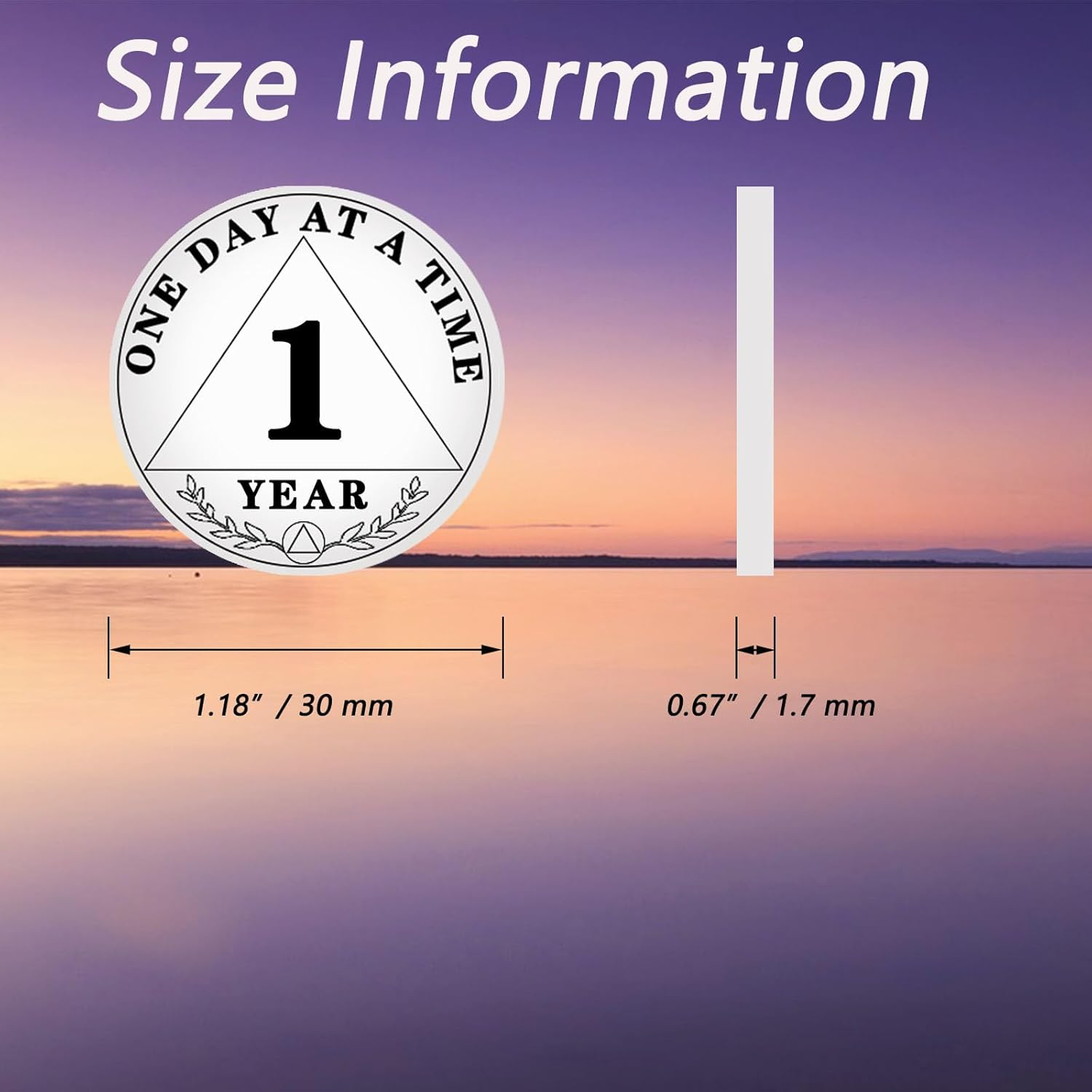 1 Year Sobriety Chip, One Day at a Time AA Chips and Medallions - Sobriety Recovery Coin Sober Token for Alcoholics Anonymous Recovery Sobriety Gifts image number 3