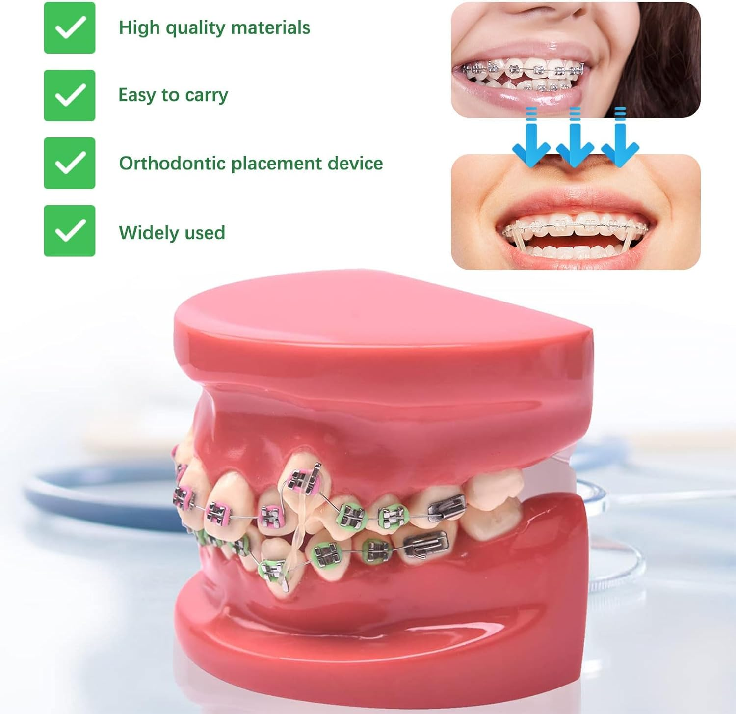 Orthodontic Elastic Rubber Bands, 200PCS 1/4" Orthodontic Rubber Band for Crooked Teeth, Tooth Gaps, Hairbands, Braids (Fox, 3.5 Oz) image number 1