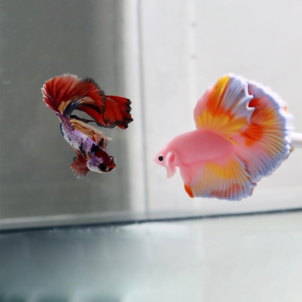 AIMALL Betta Fish Training Wand - Resin Betta Tail Training Stick for Aquariums, Natural Habitat Decor, Betta Fish Starter Kit image number 4