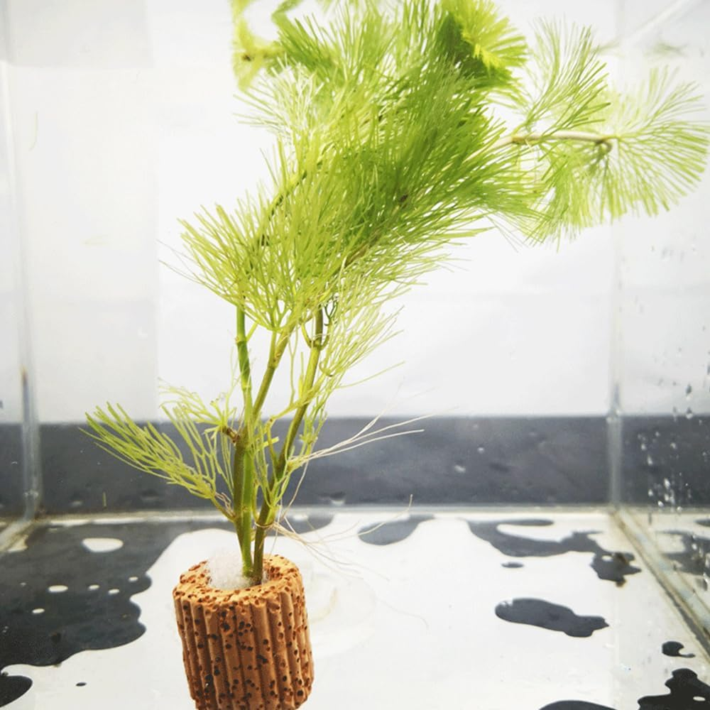 10 Pcs Aquatic Water Plant Fixed Rings, Water Plants Cultivation Fixed Ring Aquatic Water Plant Fixed Ring Ceramic Plant Pot, Landscape Ceramic Pottery Gravity Ring for Fish Tank Accessories image number 4