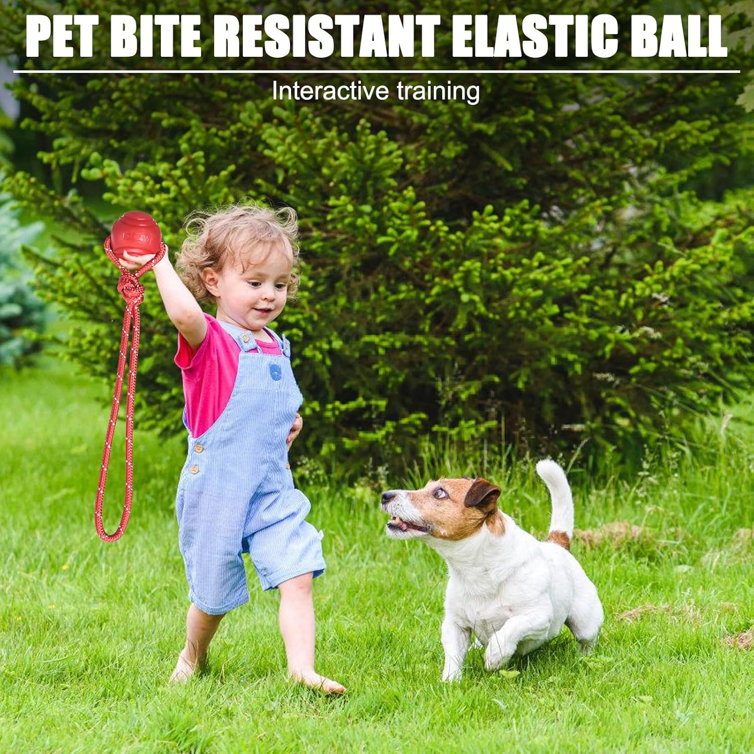 Vaileal 4 X Dog Balls, Dog Balls with Rope, High Bounce Ball Toy for Dogs, Natural Rubber Ball, Dog Toy, Small Solid Rubber Ball, Throwing Ball for Small & Medium & Large Dogs (Four Colours) image number 1