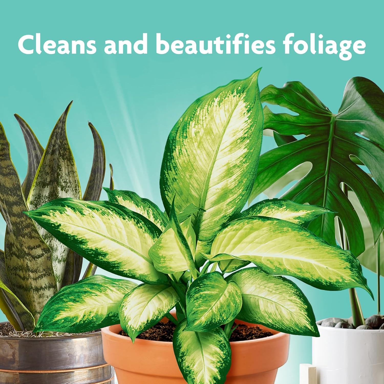 Miracle-Gro Leaf Shine, 8-Ounce Green image number 1