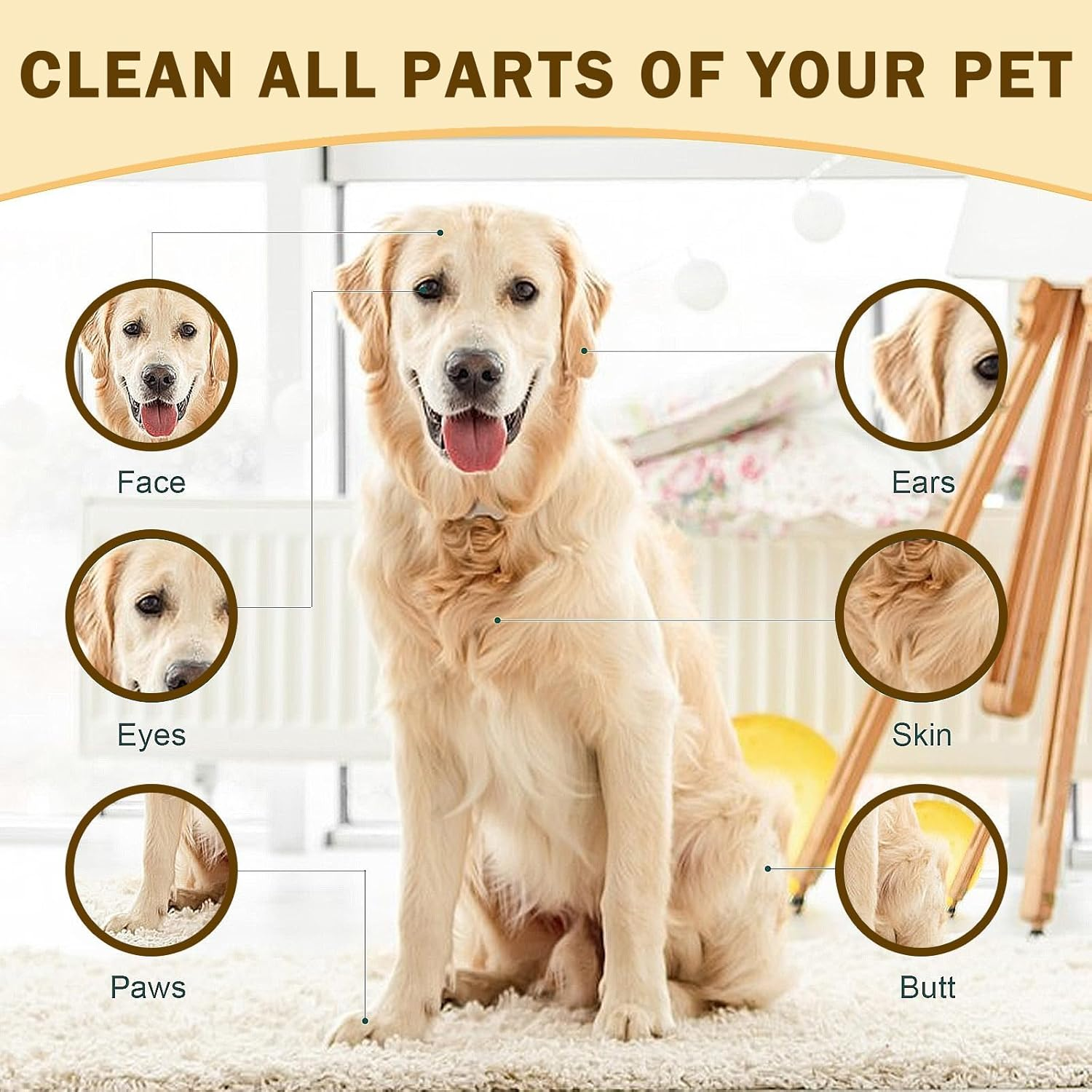 CHEUNGHAO 10 Count Pet Cleaning Gloves &ndash; No Rinse Grooming Wipes for Dogs & Cats &ndash; Cleaning Gloves for Fur, Face, Ears, Paws and Eyes &ndash; Deodorizing,Waterless Pet Bath Wipes for Easy Grooming and Care image number 1