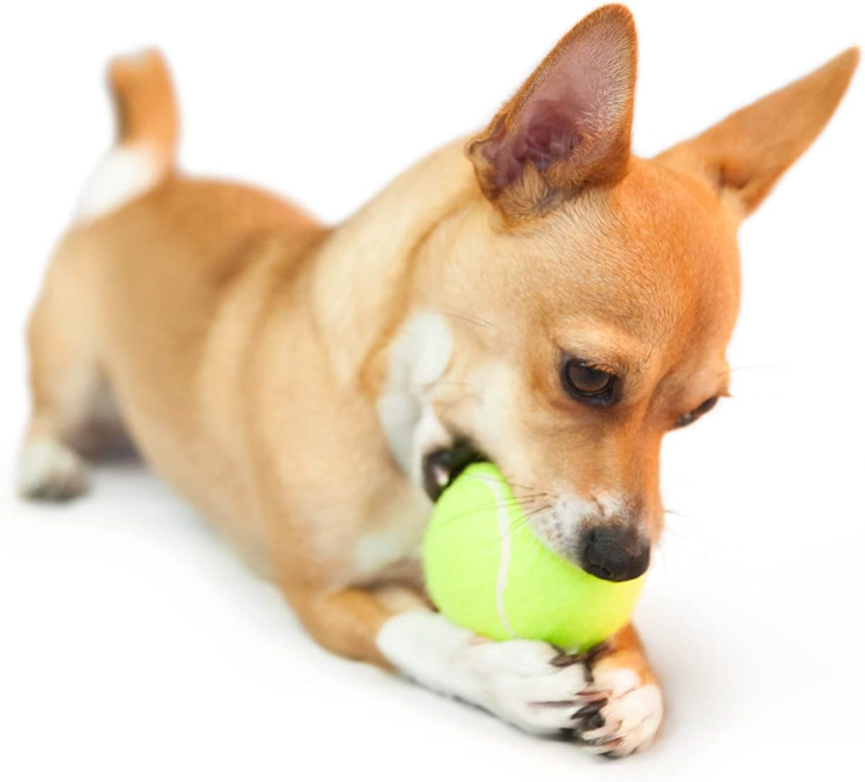 VIV Advanced Tennis Balls, 3 - 200+ Case Official Size Practice Tennis Balls Bulk, Pet Dog Playing Balls. Pressure High Altitude Bouncing 53In High and Durable, Good for Tennis Training Machine And image number 6