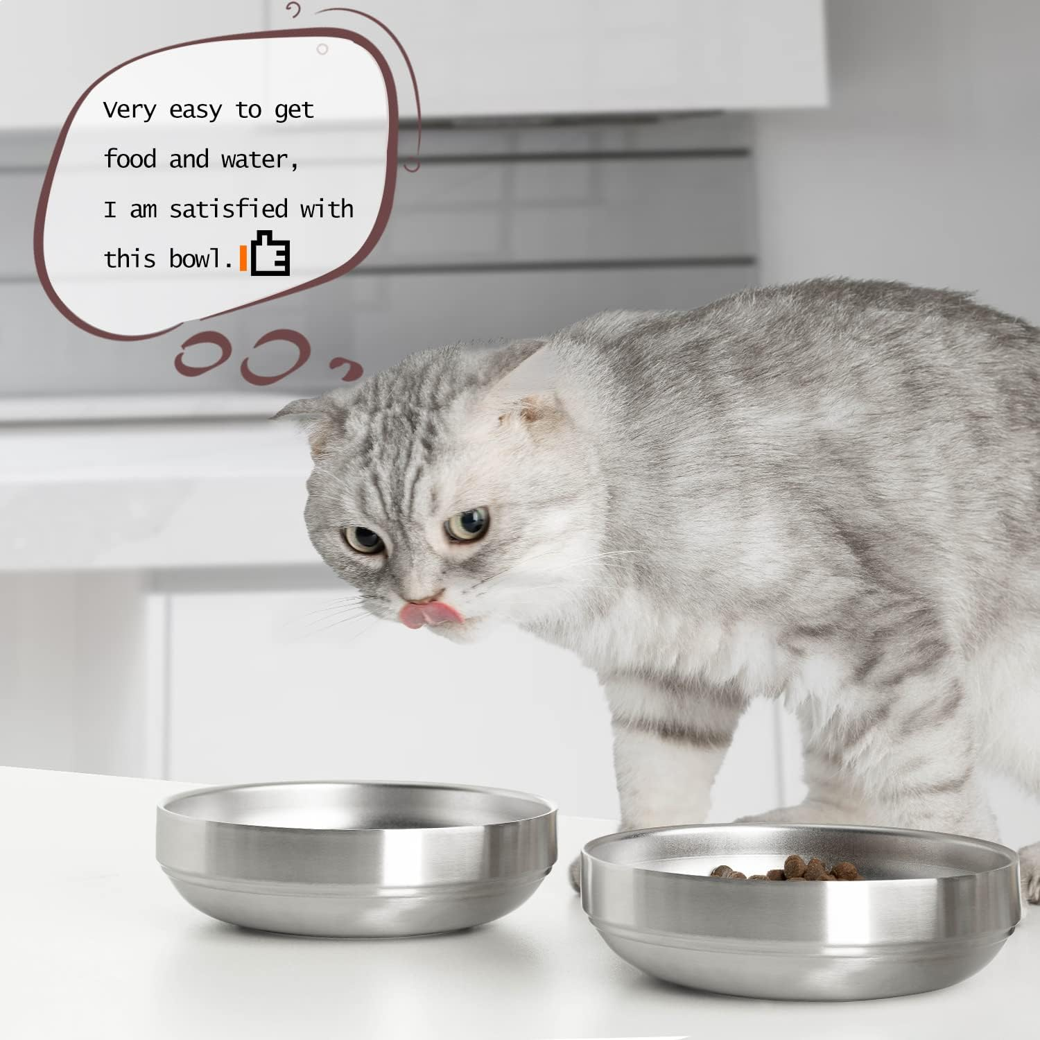 2Pcs Cat Bowl Stainless Steel,Wide Shallow Cat Food Bowl & Cat Water Bowl,Bowl Width 5.9''(15Cm), Whisker-Friendly image number 4