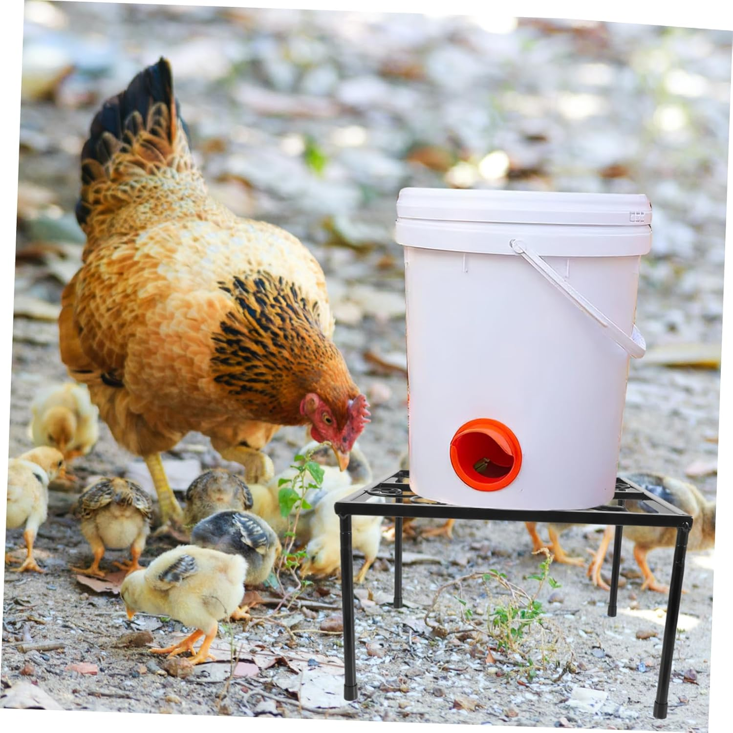 VANZACK Chicken Water Feeder Holder Chicken Feeder Holder Coop Feeder Holder Metal Feeder Stand Waterer Stand Metal Chicken Feeder Metal Stand for Waterer Metal Waterer Holder Iron image number 4