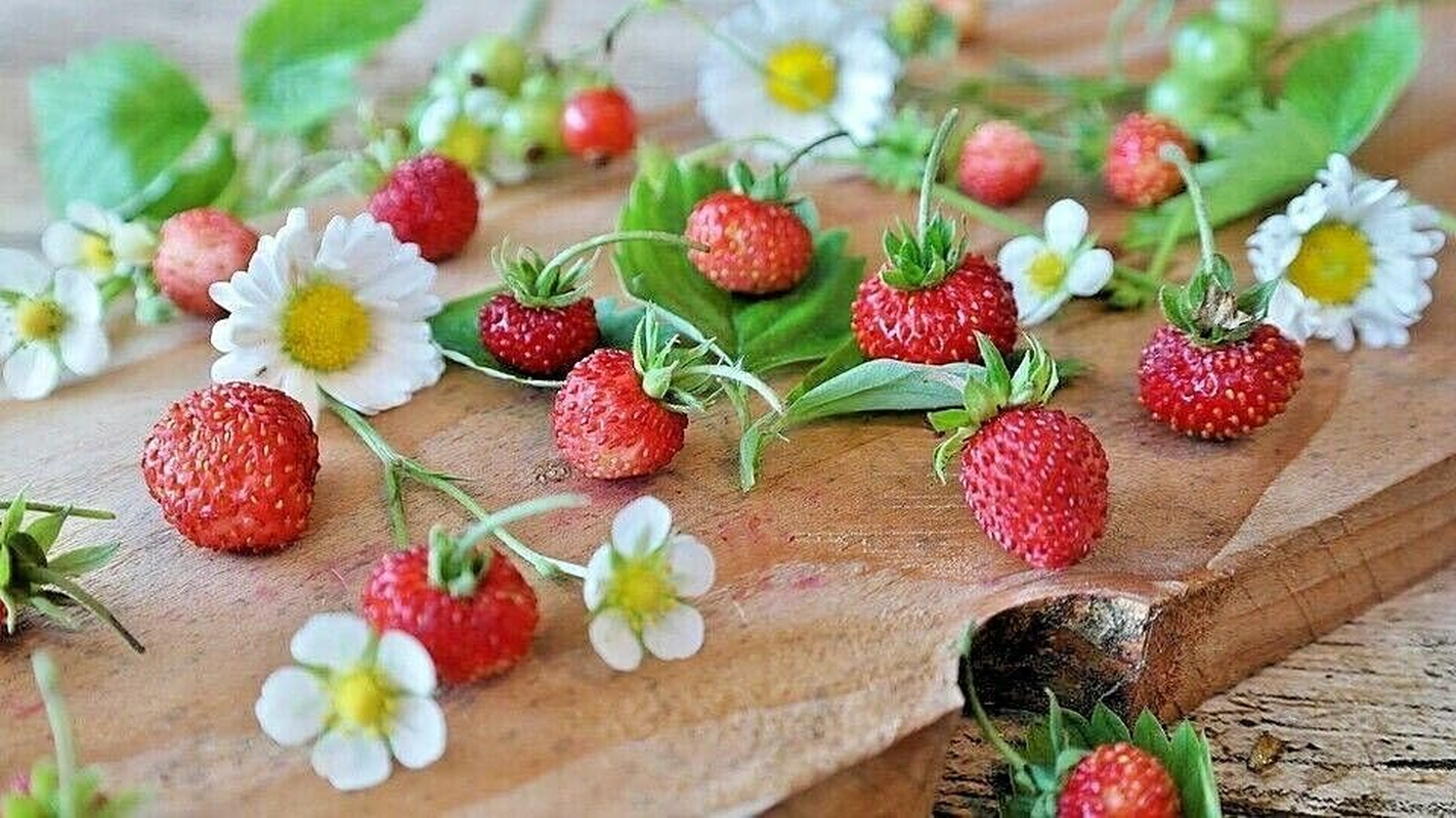 Strawberry 'Alpine' 30+ Seeds Home Gardening Plant Seeds