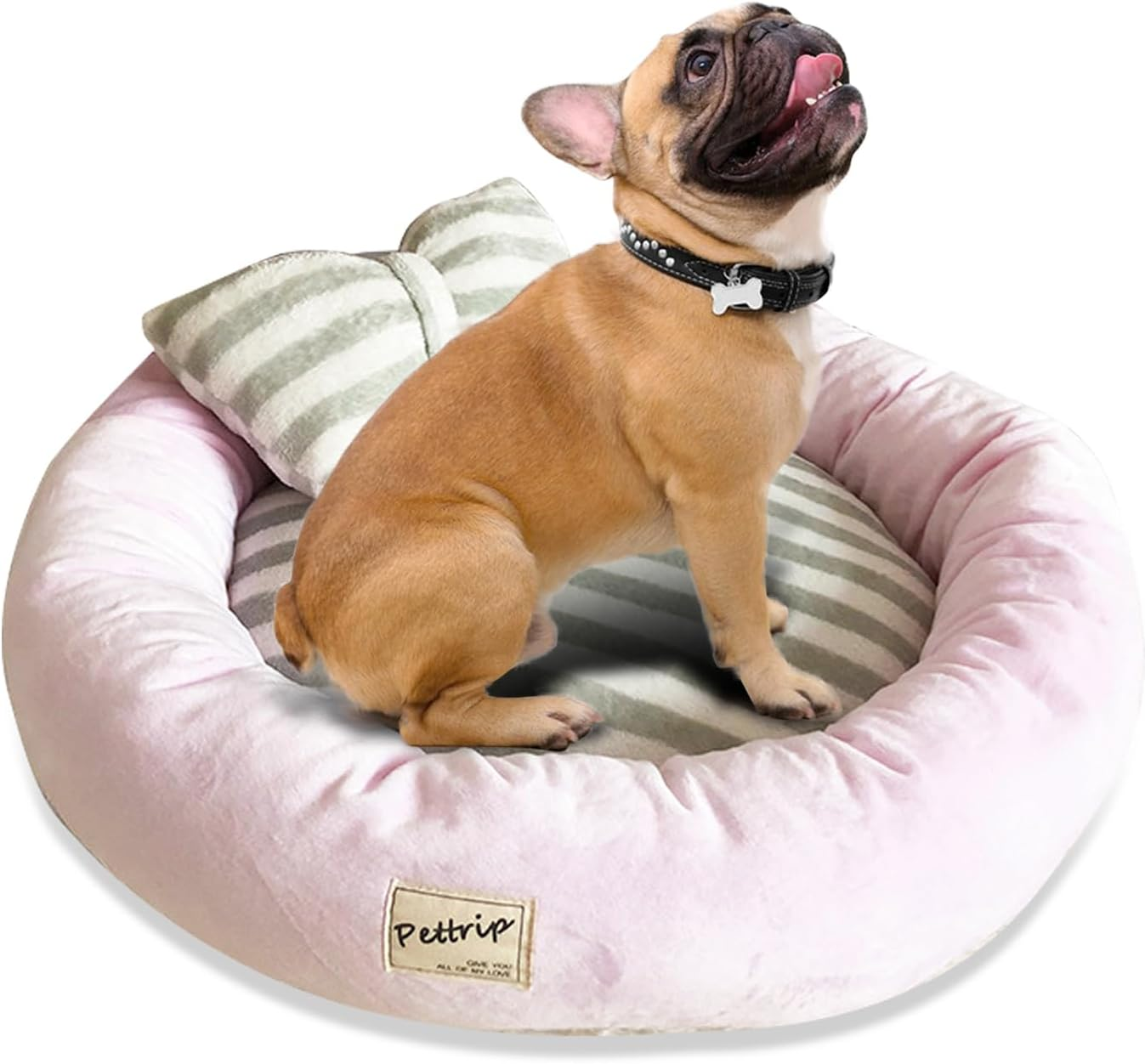 PETCUTE Dog Bed Cat Bed Washable Dog Sofa round Cushion Bed Faux Suede Pet Bed for Large Medium Small Dogs Cats (M-55 X 15 Cm, Pink) image number 4