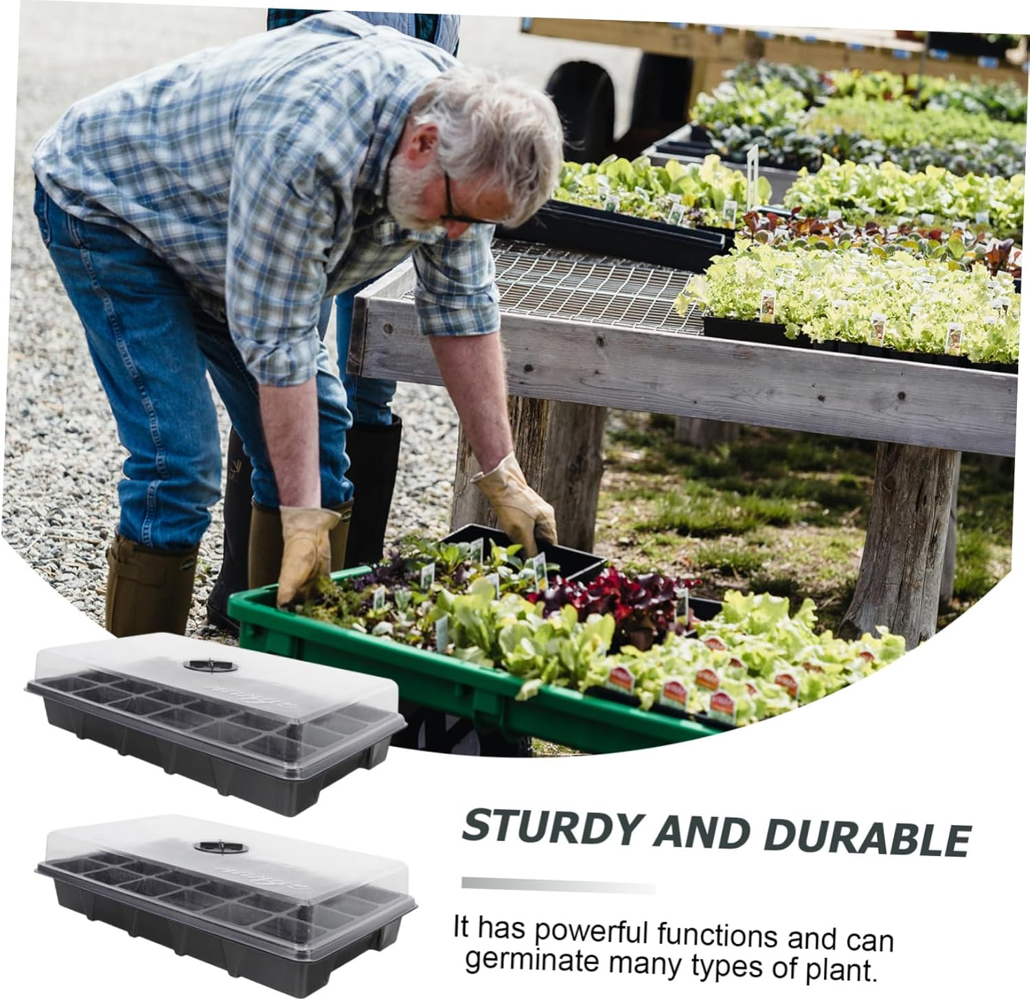 Plant Germination Box Planting Tray for Indoor Gardening 2Pcs 38X23X9Cm with Lid and Cells Waterproof Easy to Clean - Green image number 6