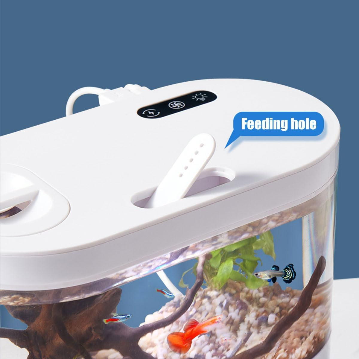 AIMALL Mini Desktop Aquarium with Self-Circulating System, USB Charging, One-Click Water Change, LED Light Control - Ideal for Small Fish, 8.30 X 4.29 X 7.55 Inches