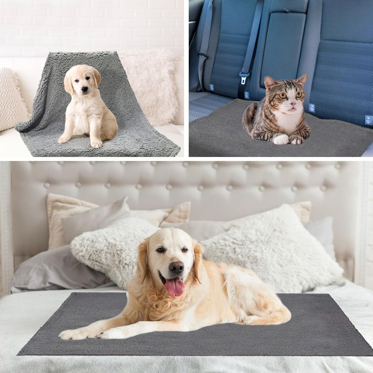 Yanmucy Dog Blanket Washable Fleece Blanket Fluffy Cat Blanket for Indoor Cats Soft Puppy Blankets Dog Blankets Large Washable Pet Blanket for Small Medium Large Dog Sofa Bed Protector (S, Grey) image number 2