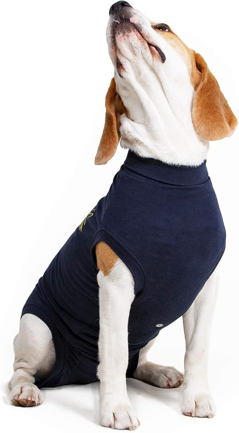 MPS Medical Pet Shirt Dog, Surgery Recovery Suit, Blue, Xxx-Small image number 3