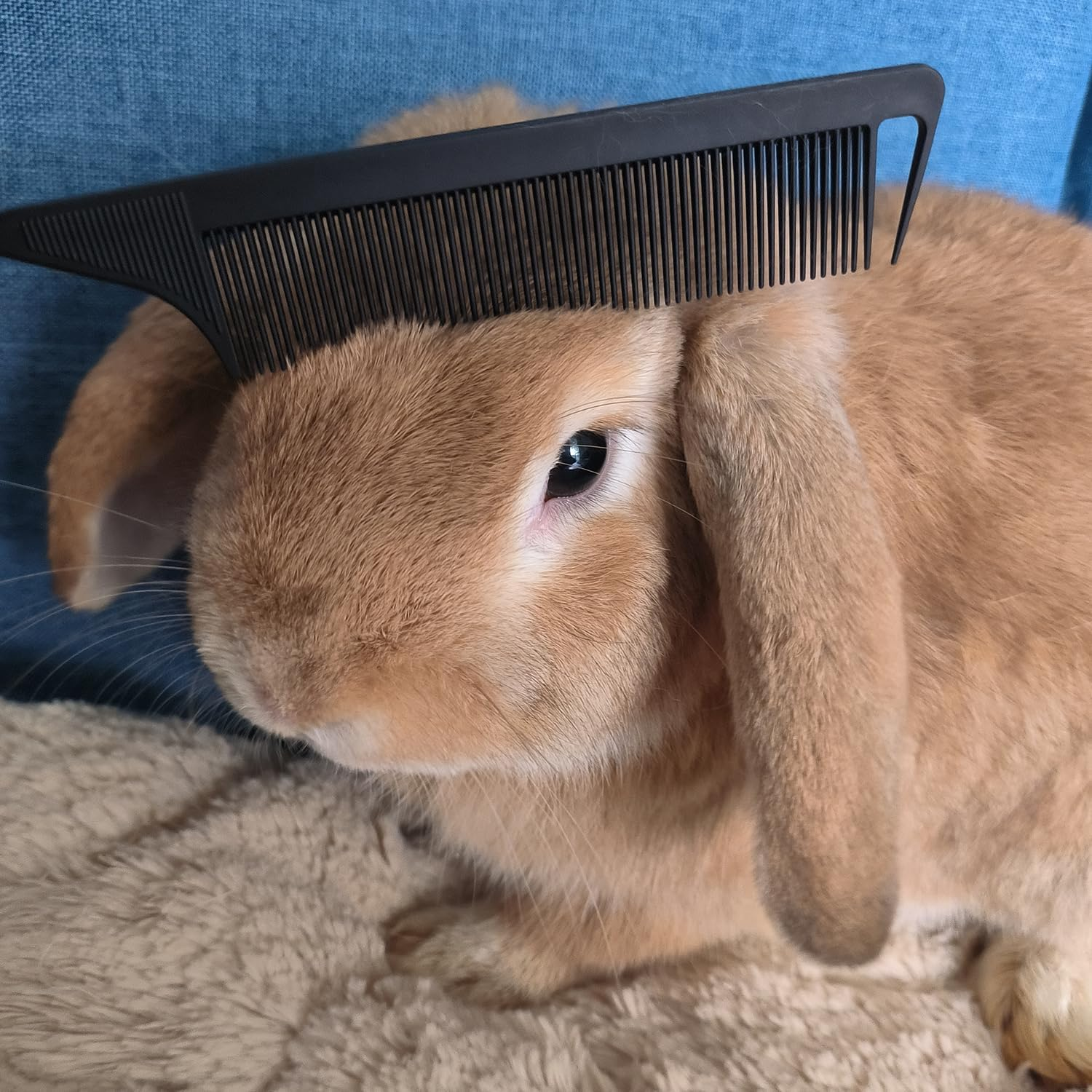 Metal Carbon Fiber Parting Rat Tail Comb for Women Men Kids Braiding Styling Hair (Black 6Pcs) image number 2