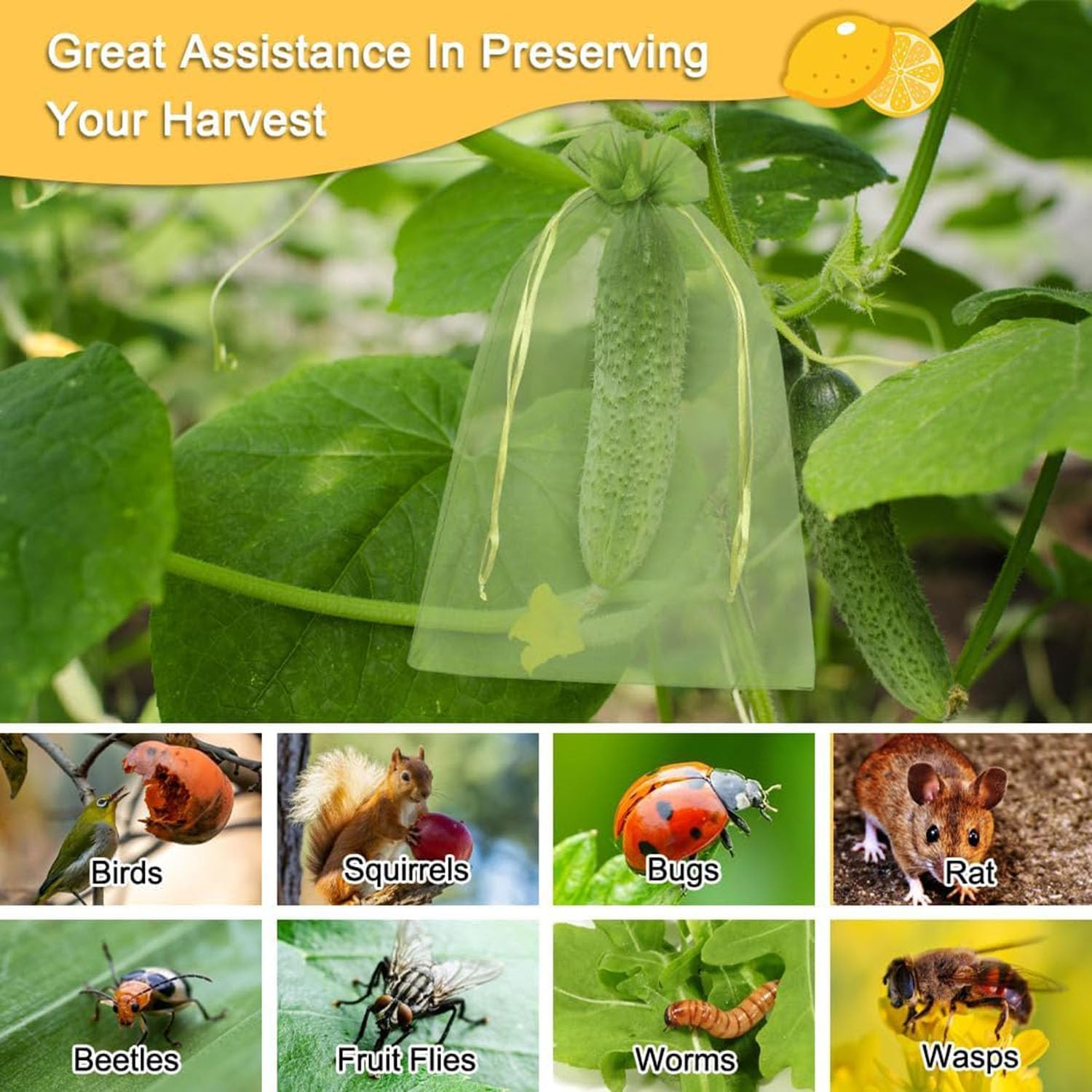 50 Pcs Fruit Protect Bags,Fruit Cover Mesh Bag with Drawstring,Reusable Mesh Garden Netting Protection Bags for Protecting Fruit Tree,Vegetables, Plants from Birds and Insects (15 * 20 Cm) image number 1