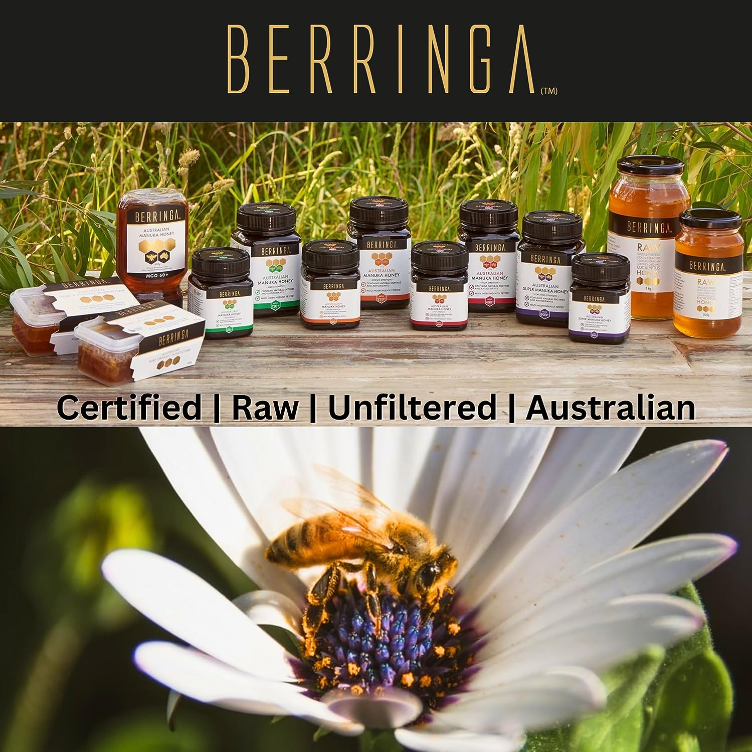 Berringa Certified Eucalyptus Honey 1KG - Australian Raw Honey | Unfiltered | 100% Pure Genuine Locally Sourced | Cold Extracted | Non-Gmo Superfood | Gluten Free Food | Bulk | Glass Jar