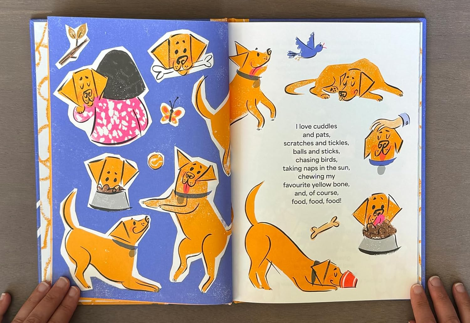 My Name Is Jemima: a Tale of a Guide Dog Superstar image number 2