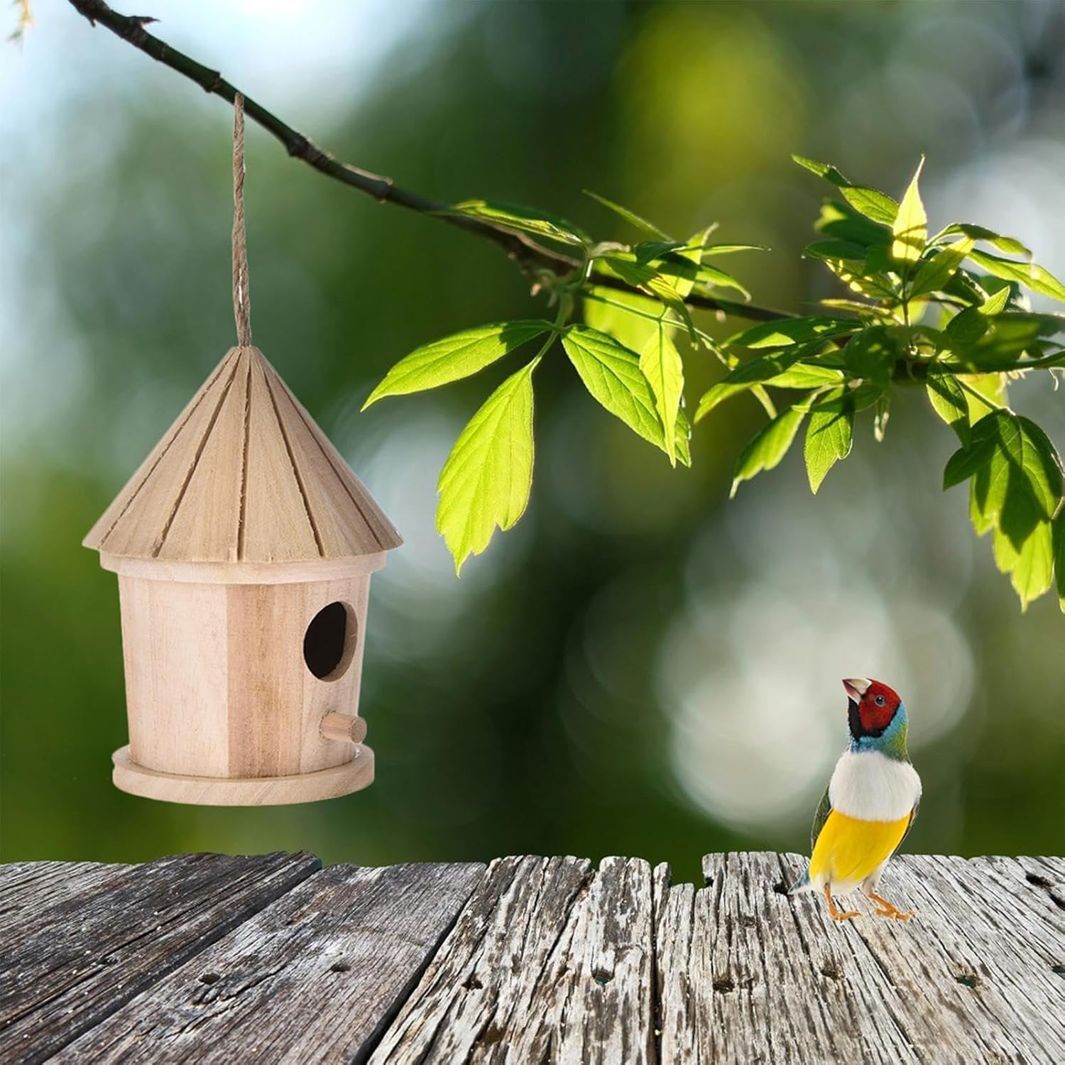 Generic Wood Bird House | Hanging Natural Hummingbird Nest | Bluebird House, Brown, Handcrafted Bird Hut image number 6