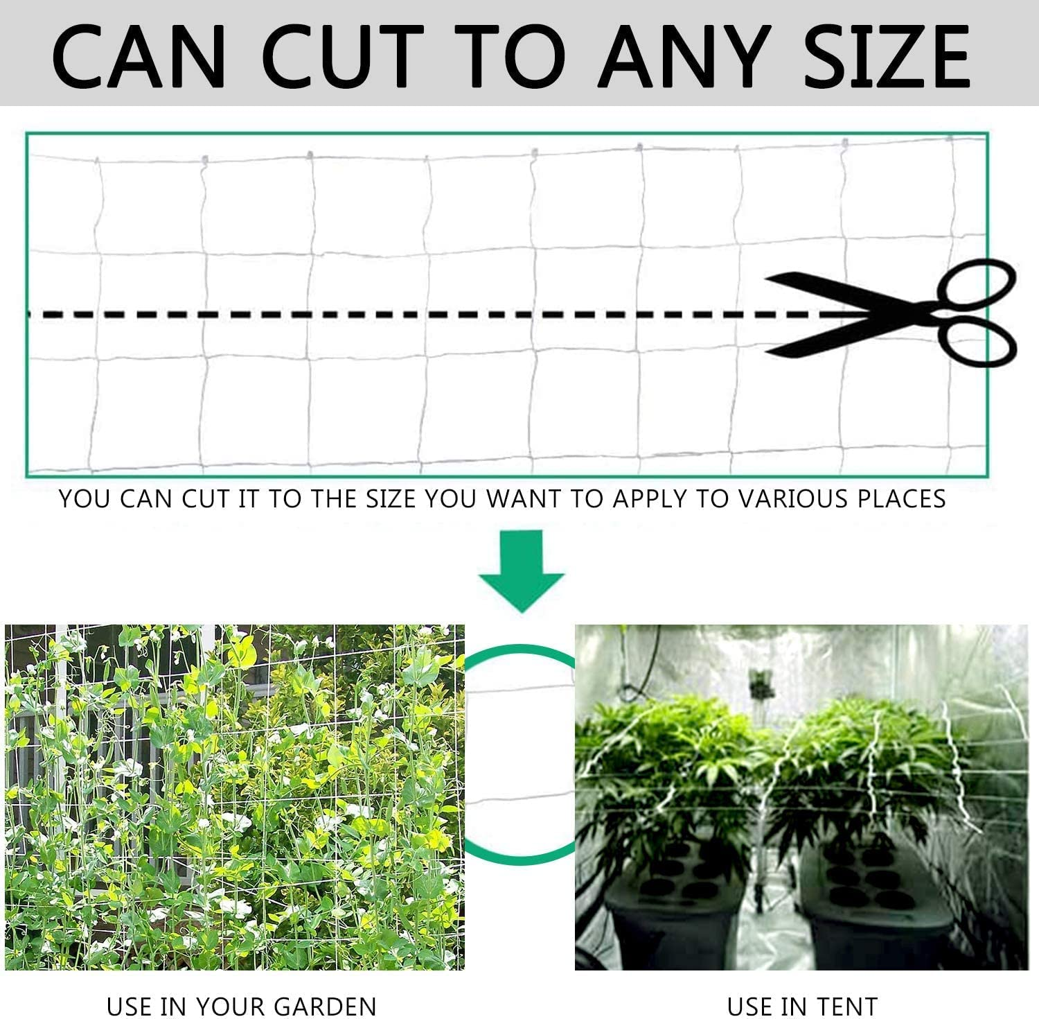 THJOPOKEEL Plant Support Netting 5X30Ft, Heavy-Duty Polyester Grow Net for Climbing Plants, Indoor & Outdoor, save Garden Space image number 6