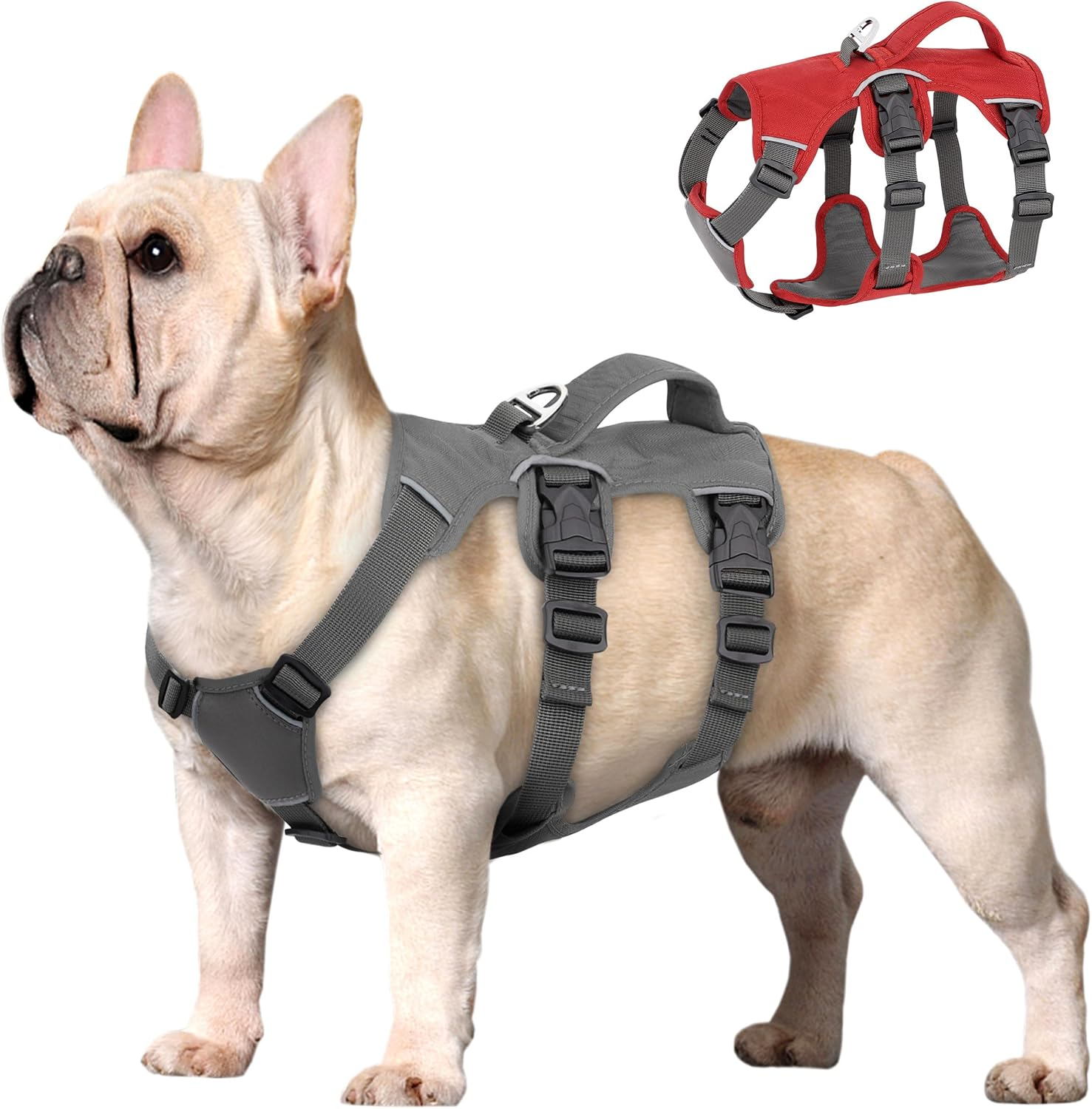 Beirui Escape Proof Dog Harness for Small Medium Large Dogs, Reflective Dog Harness No Pull with Padded Handle, Waterproof Dog Harness for Daily Walking Training (Red,Chest 11-22&rdquo;)