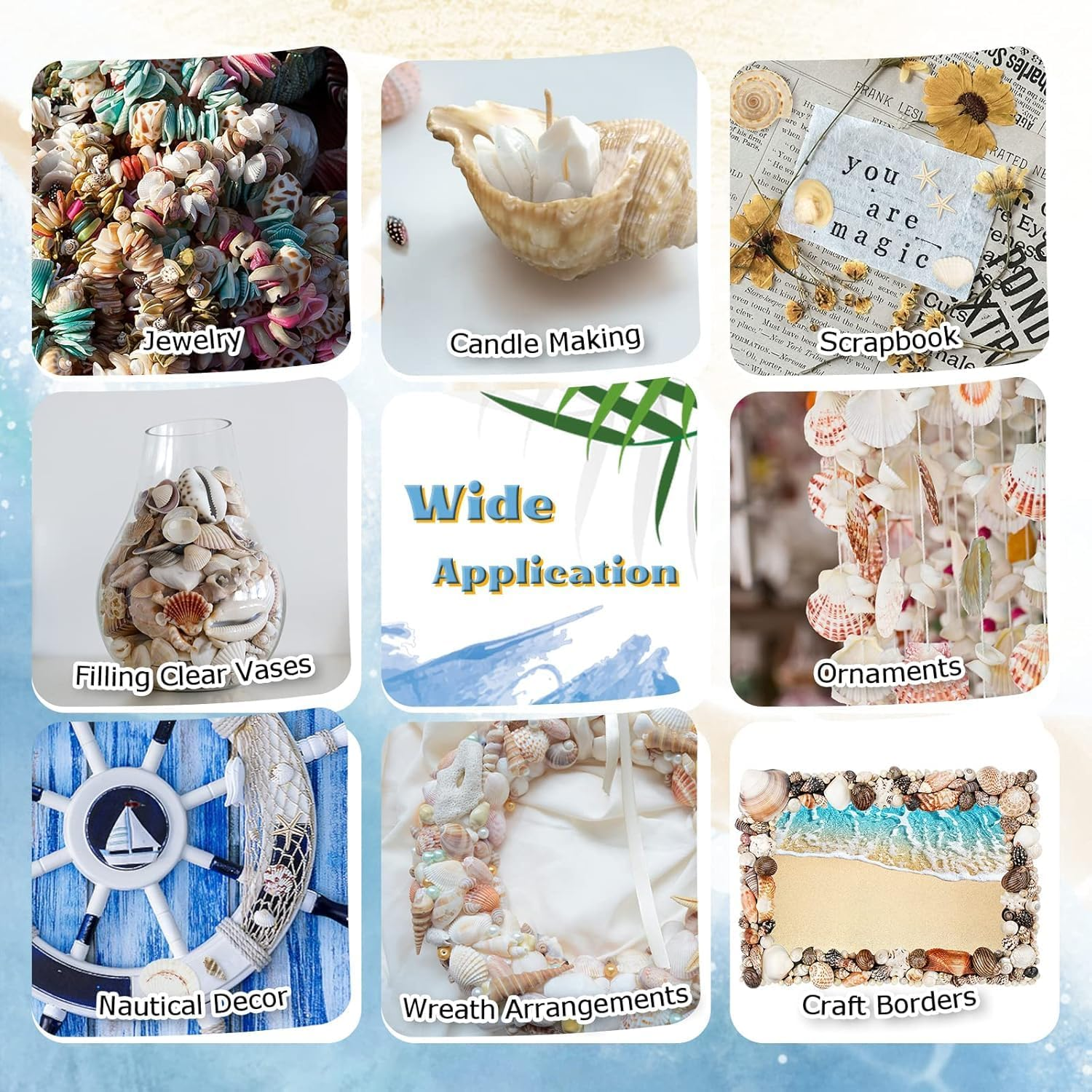 Mumoo Bear 200G Sea Shells Bulk Mixed Ocean Beach Seashells for Kids, Various Sizes Natural Sea Shell for Crafts, Home Decorations, Beach Theme Party, Wedding Decor, DIY Crafts, Crafting Shells image number 2