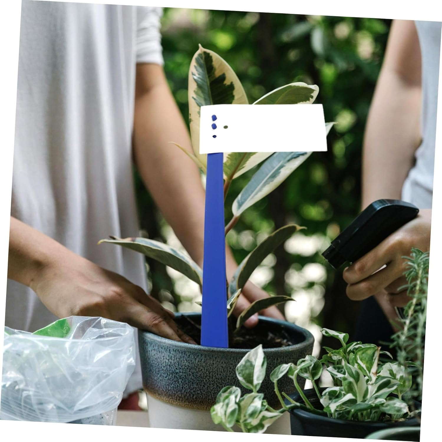 BESPORTBLE 10Pcs Gardening Plant Labels Reusable Plant Markers for Flower Pot Maker for Household Garden Use for Garden Supply image number 4