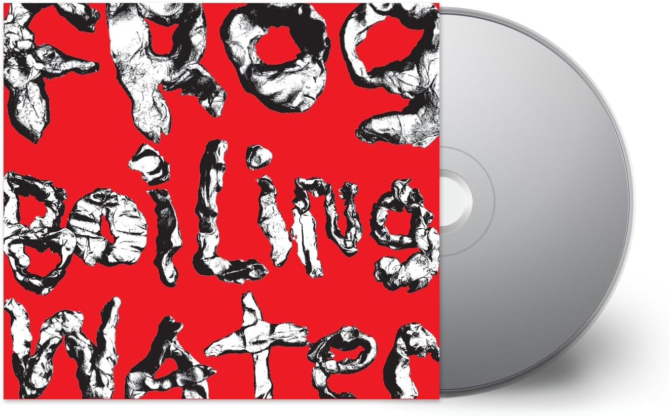 Frog in Boiling Water image number 3