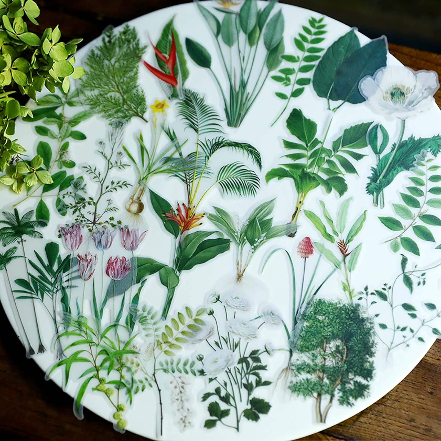 Doraking 50PCS Vintage Tropical Plants Butterfly Green Plants Stickers for Decoration Laptop Scrapbook, Doraking No-Repeat Vintage Butterfly Stickers image number 1