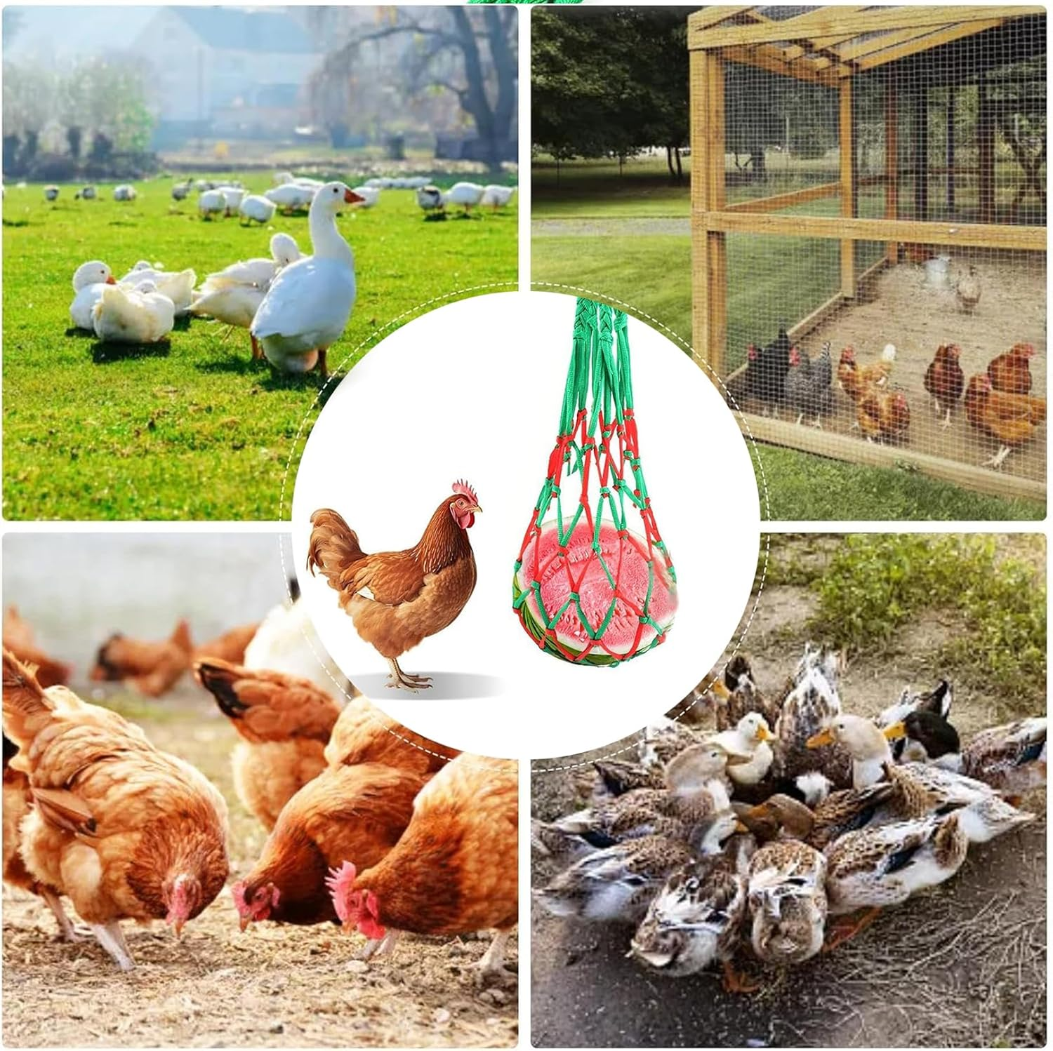 Vegetable Hanging Feeder Hangable Feeding Net Bag Vegetable String Bag Can Hold Vegetable and Fruit Feed Suitable with Hook for Chicken Duck Goose Coop and Can Also Hold Other Items You Want image number 5