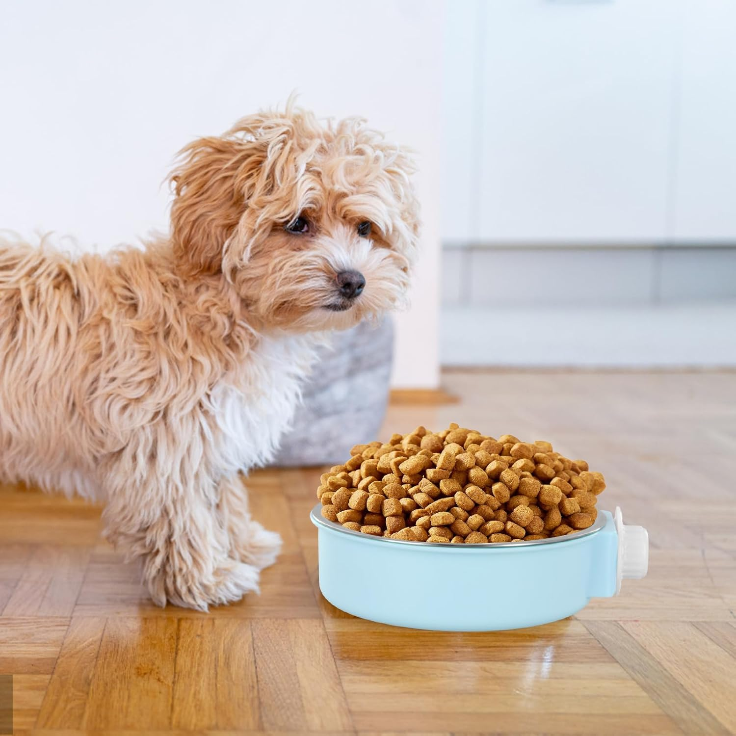 Anseom Pet Crate Water Bowls 2 Pcs, Large Capacity Dog Cage Water Bowls Removable Stainless Steel Hanging Cat Feeding Bowls with Bolt Holder for Dogs Cats Small Animals Blue and Green image number 6