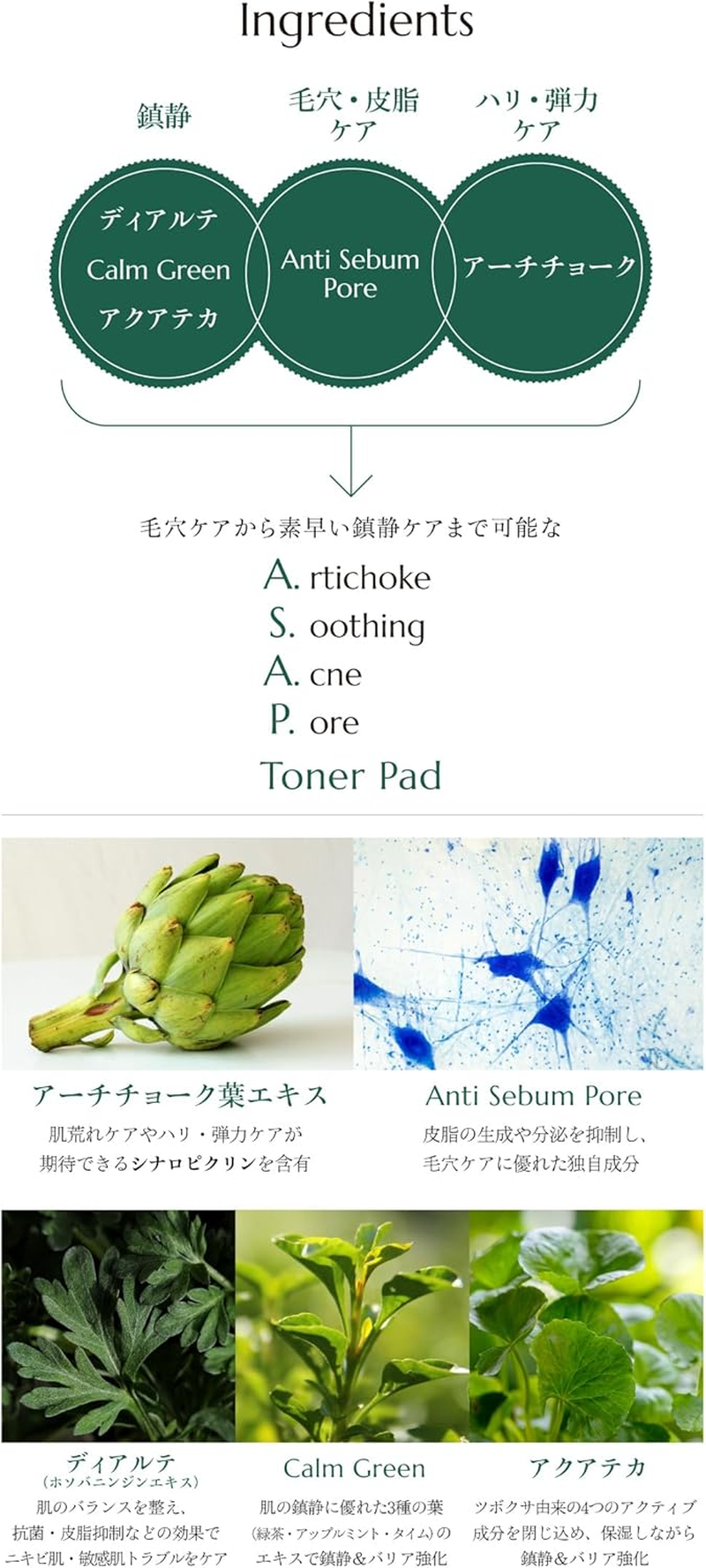 Molvany Artichoke Soothing Acne Pore Toner Pad 160 G image number 5