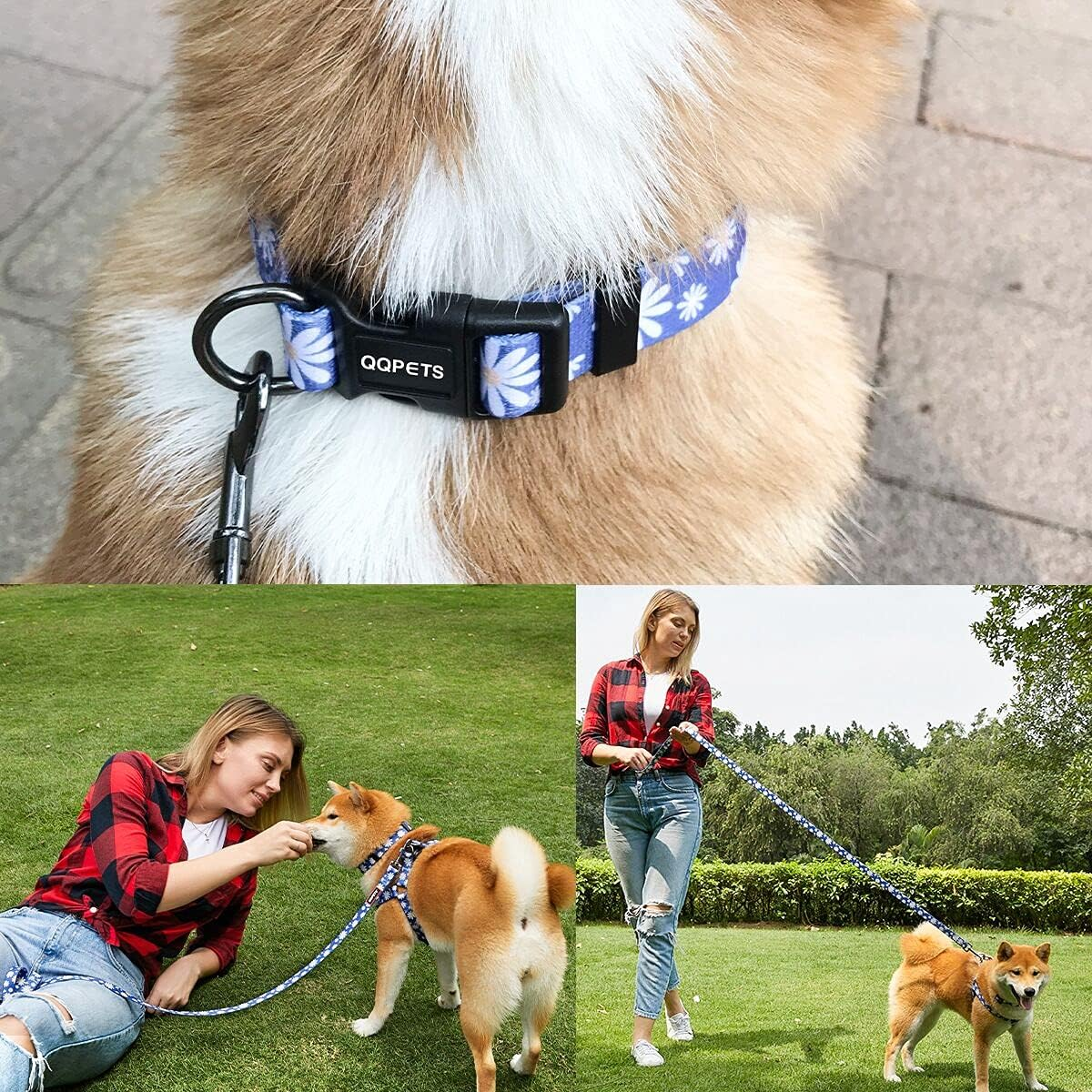 Dog Harness Collar Leash Set - No Pull Pet Adjustable Back Clip Halter Basic Collar Heavy Duty 5FT Anti-Twist Leash for Extra Small Puppy Medium Large Breed Training Running (Daisy, S) image number 1