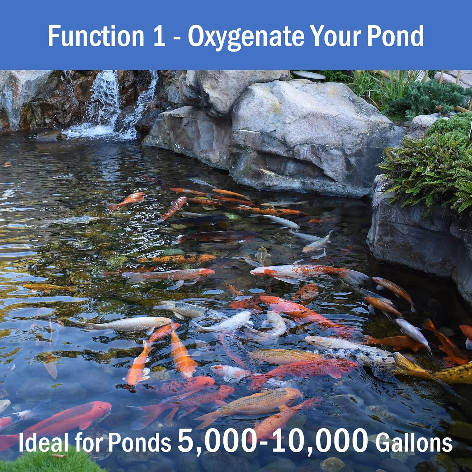 Aquamiracle Pond Aeration Kit - Koi Aerator Air Pump for up to 15000 Gallons, Deicer All-In-One System with Self-Sinking Airline, Flow Control, Rubber Air Diffuser image number 2