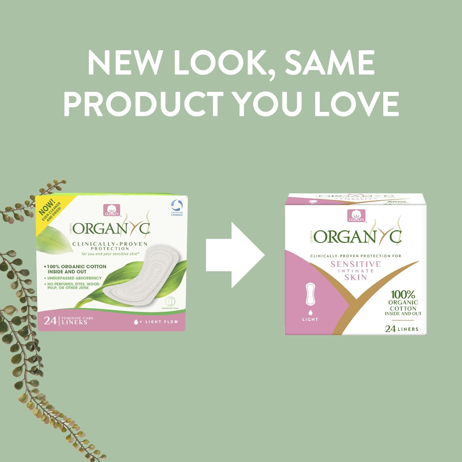 Organyc Thin Folded Panty Liners -Light, 24 Count image number 5