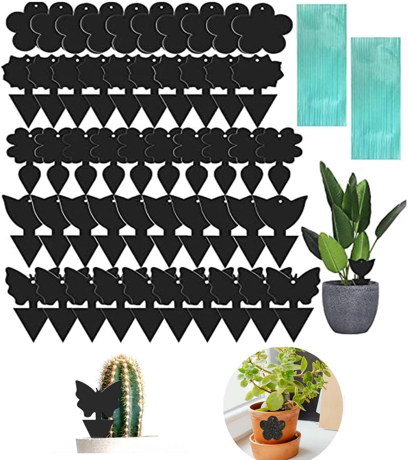 50 Pcs Fruit Fly Traps,Sticky Traps,Fungus Gnat Traps,Black Sticky Bug Traps Non-Toxic and Odorless for Indoor Outdoor Use Protect the Plant image number 6