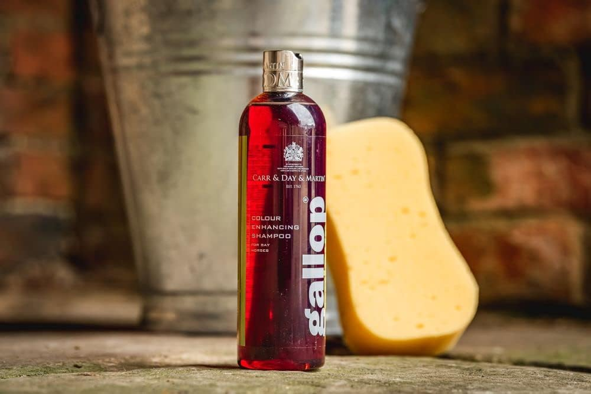 Carr & Day & Martin Gallop Colour Enhancing Shampoo, Bay , 500 Ml - Bay image number 2