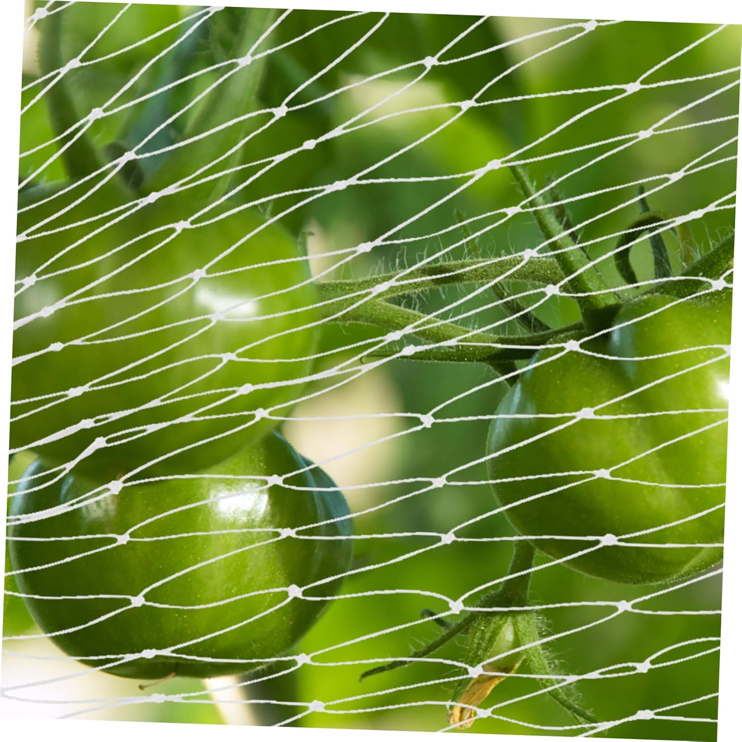 Kisangel Vegetable Garden Netting 10M X 10M Lightweight Nylon Mesh Bird Protection Tear Resistant Suitable for Orchards Farms and Plant Beds image number 2