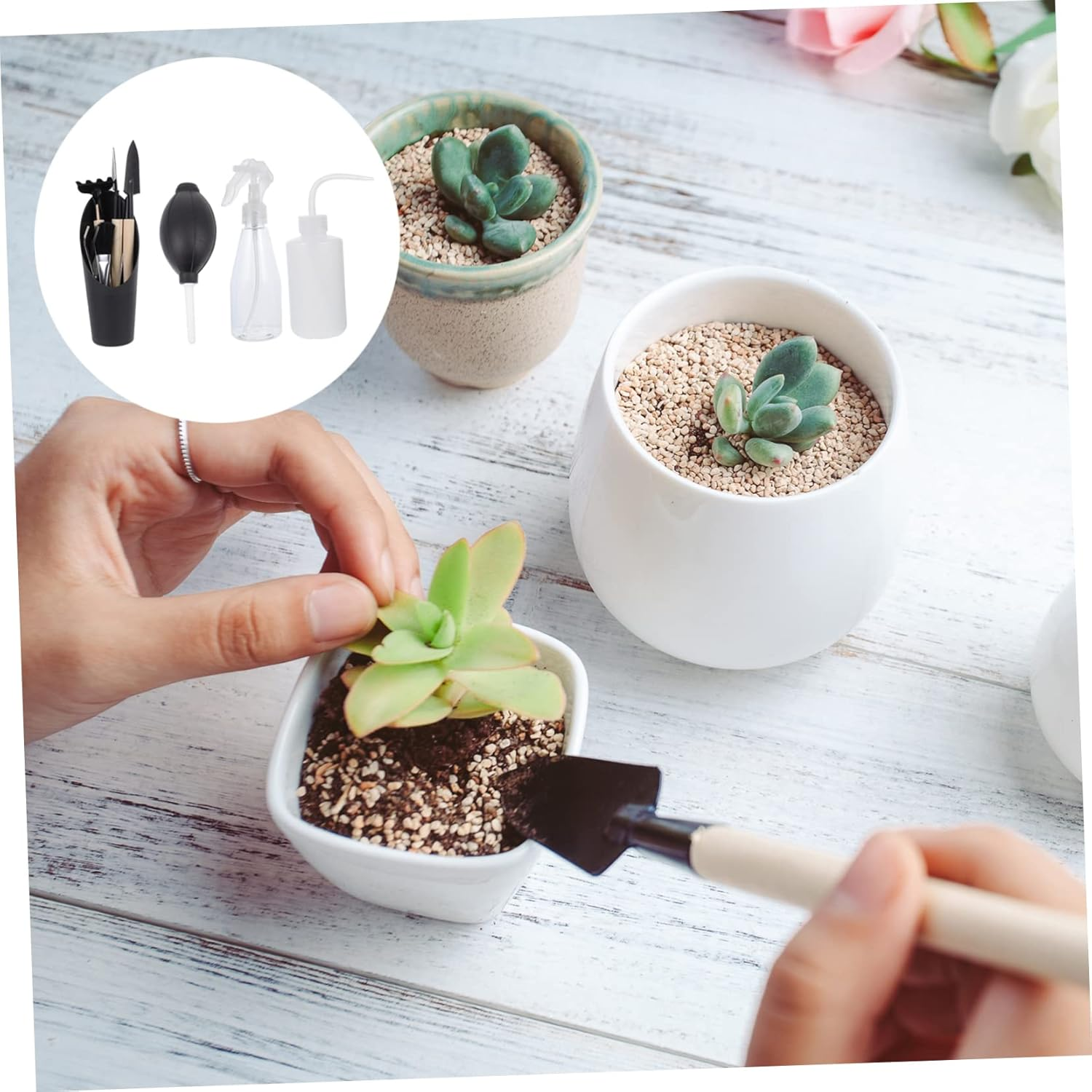 Sosoport Complete Gardening Supplies Includes Trowels Scissors Succulent Kit Sturdy for Bonsai Flowerpot Use image number 6