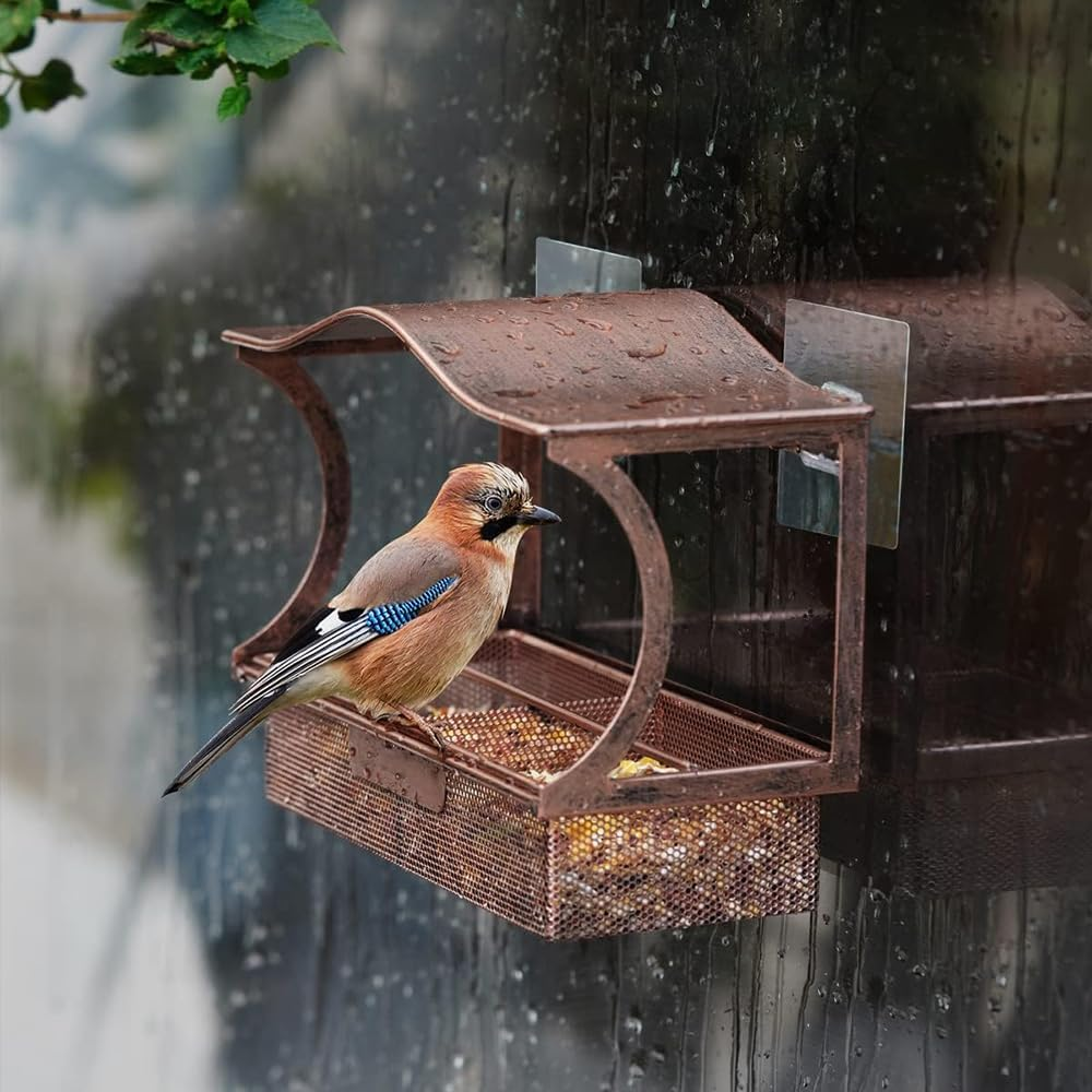 Upgraded Window Bird Feeder with Strong Suction Cups &ndash; Durable Metal Outdoor Bird Feeder for Birdwatching, Cat Entertainment & Nature Lovers &ndash; Easy-To-Clean, Shatterproof Design image number 5