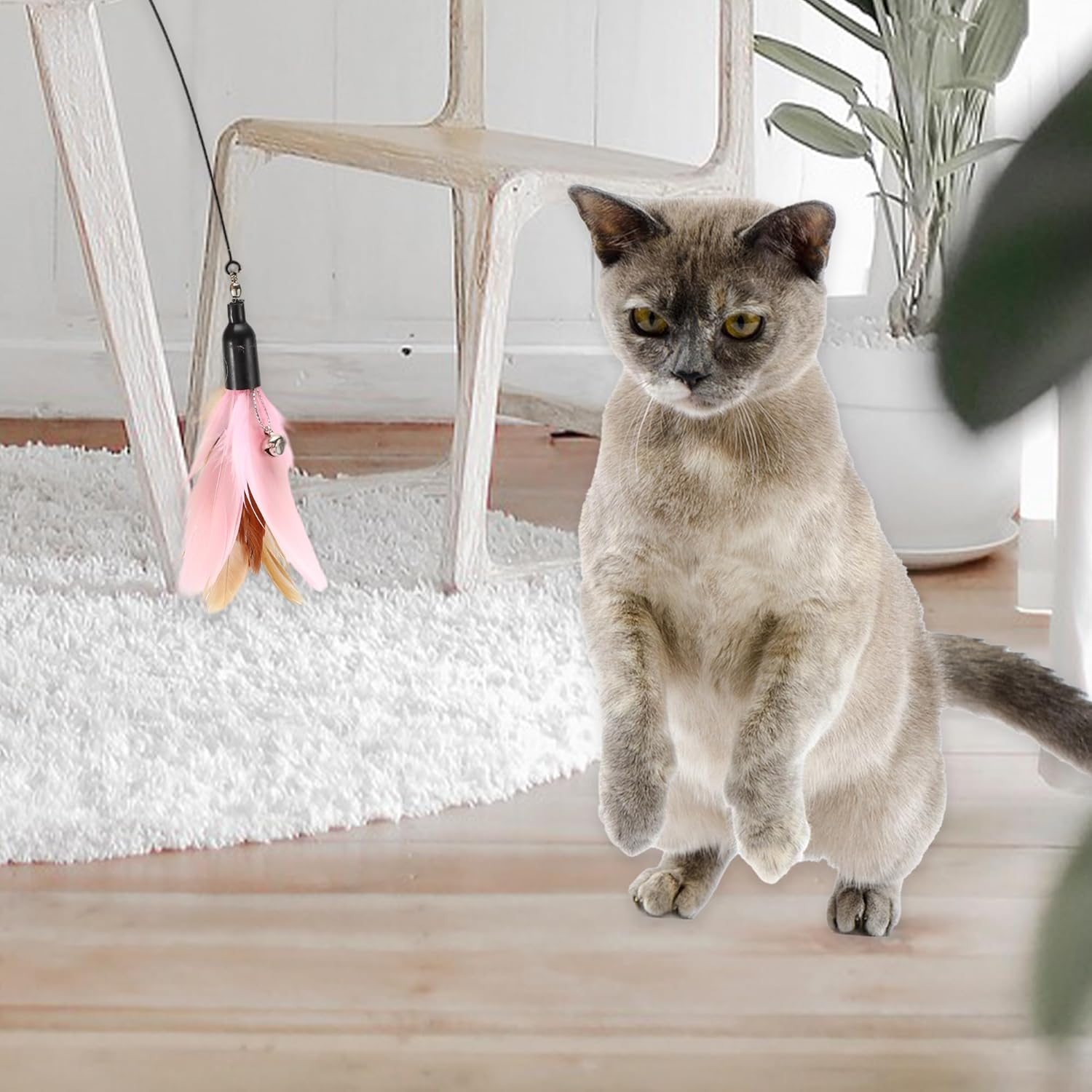 CAPASTEC Pack of 2 Feather Cat Wand Replacement for Pet Interactive, Pink/Brown image number 5