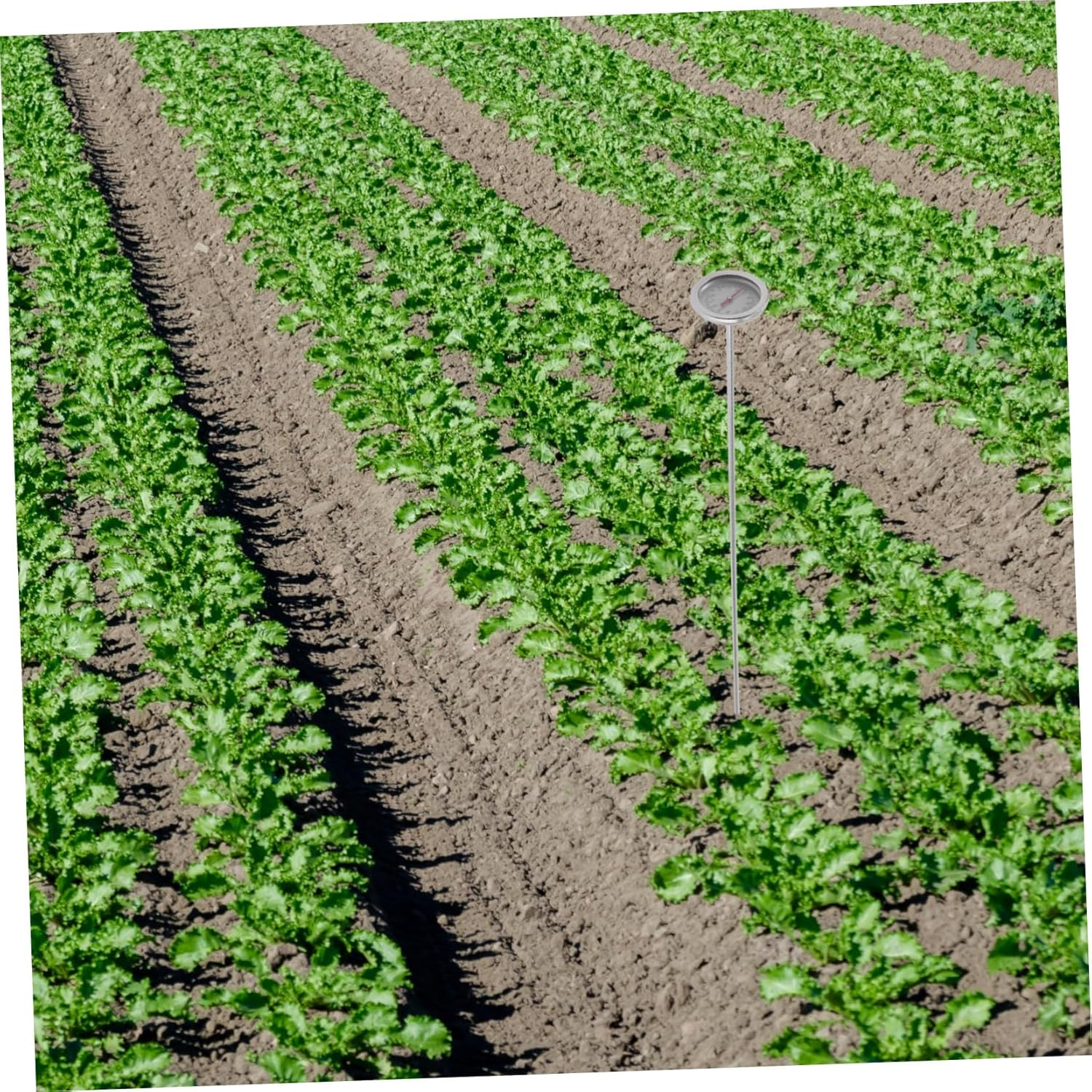 BESPORTBLE Precise Compost Thermometer Tool with Probe for Gardening Soil Temperature Measurement Reliable Physical Sensing Use Garden Instrument for Moisture and Plant Care image number 4