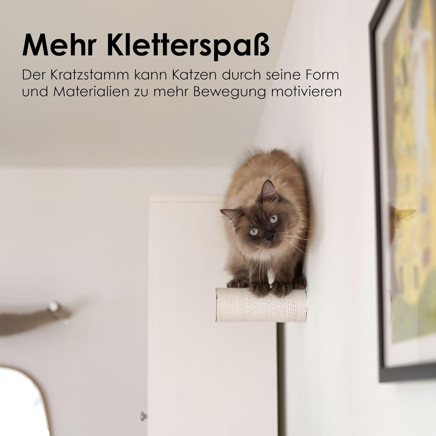 Lucybalu&reg; Jumper Lite Cat Scratching Post & Climbing Step for the Wall | Cat Stairs Made of Paper Rope for Cats Climbing Wall | Cat Step | Scratching Post for Wall Mounting | Wall Scratching Post | image number 1