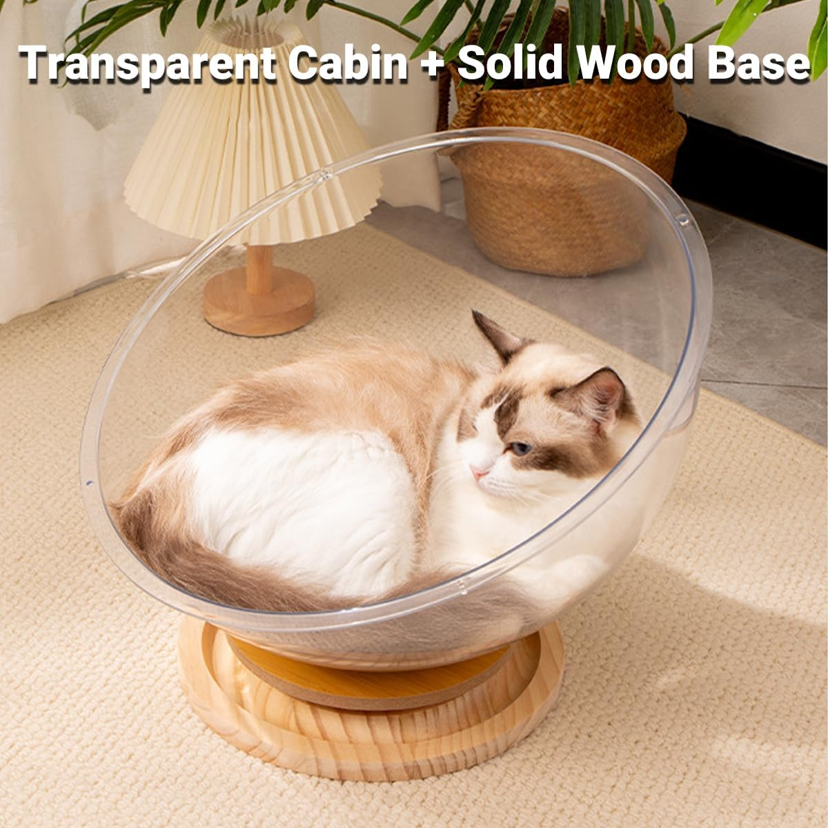 AIMALL Luxurious Space Capsule Cat Nest: 4-Season Acrylic Cat Bed with Integrated Play Turntable, 9.84" Universal Comfort & Modern Design
